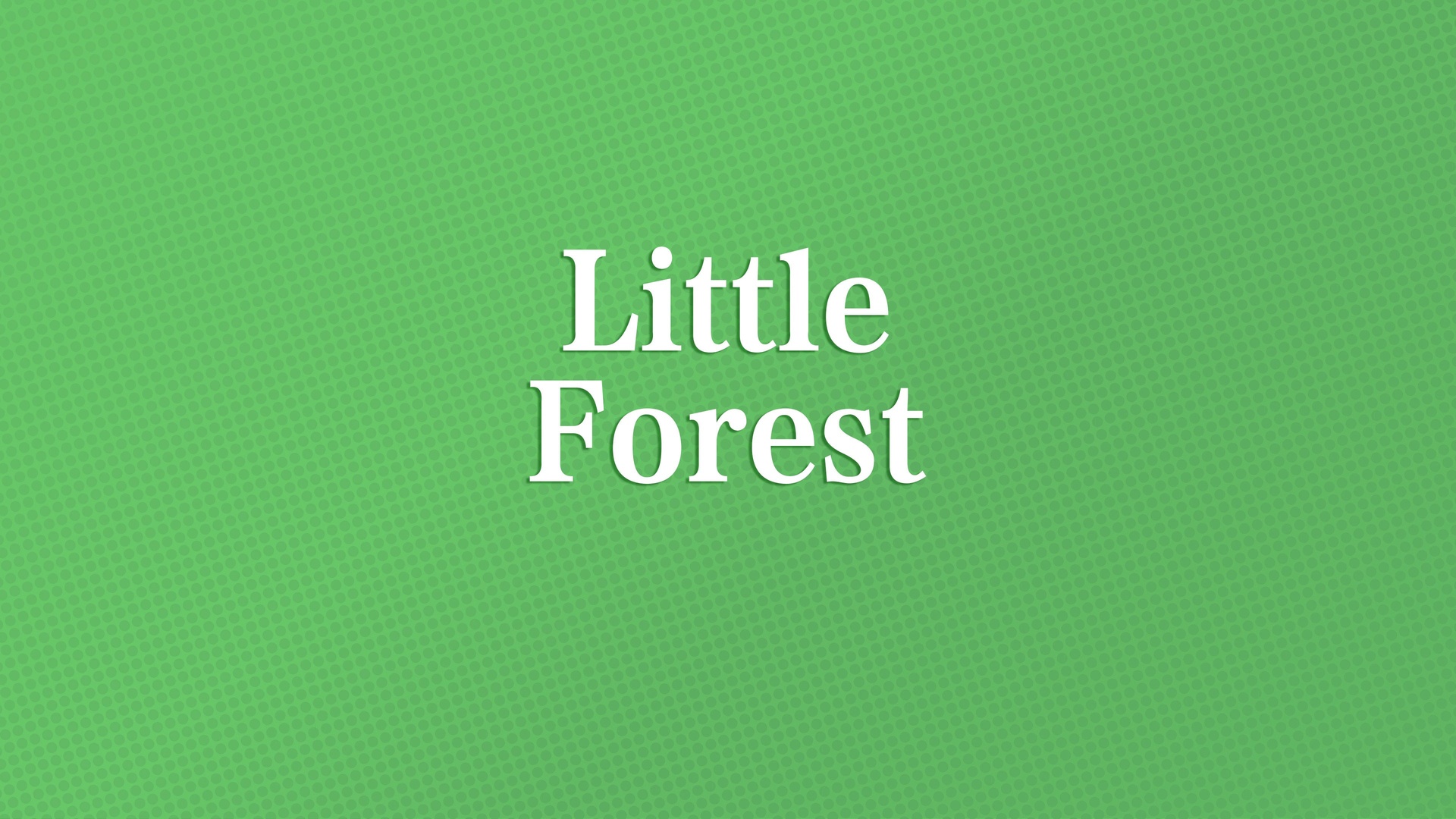 文字4k简约littleforest文字控壁纸