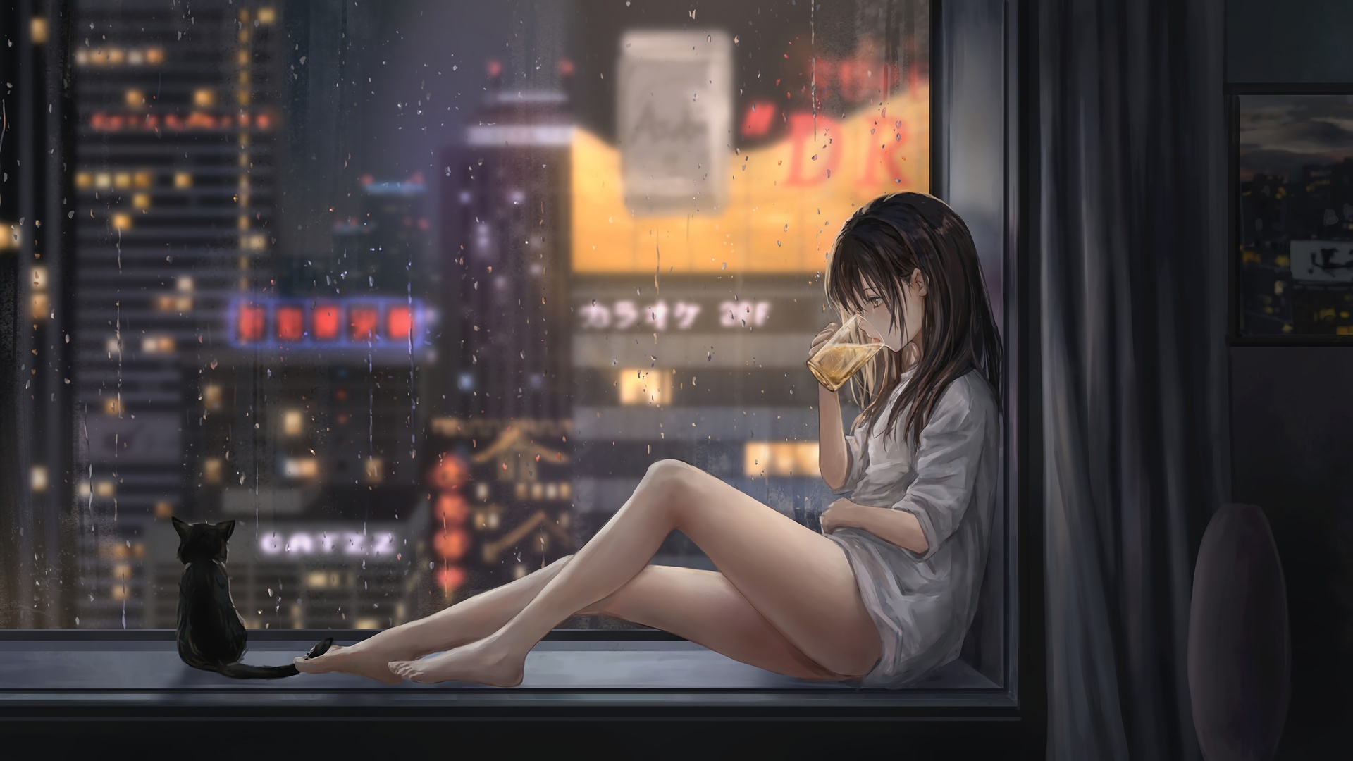 女孩喝啤酒飘窗城市夜景雨天猫好看唯美4k动漫壁纸壁纸