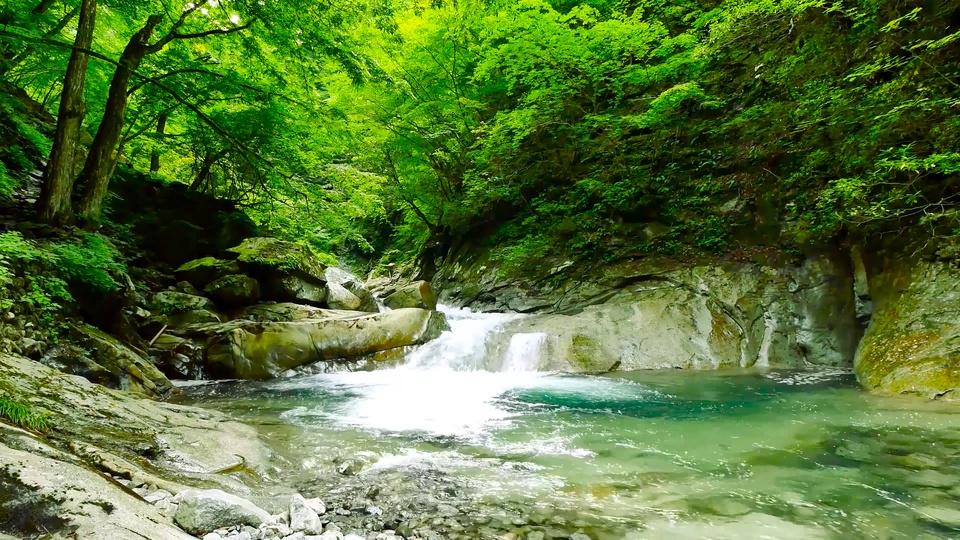 山涧绿林流水鸟语