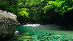 护眼山谷溪流山涧流水清澈夏日清凉4k