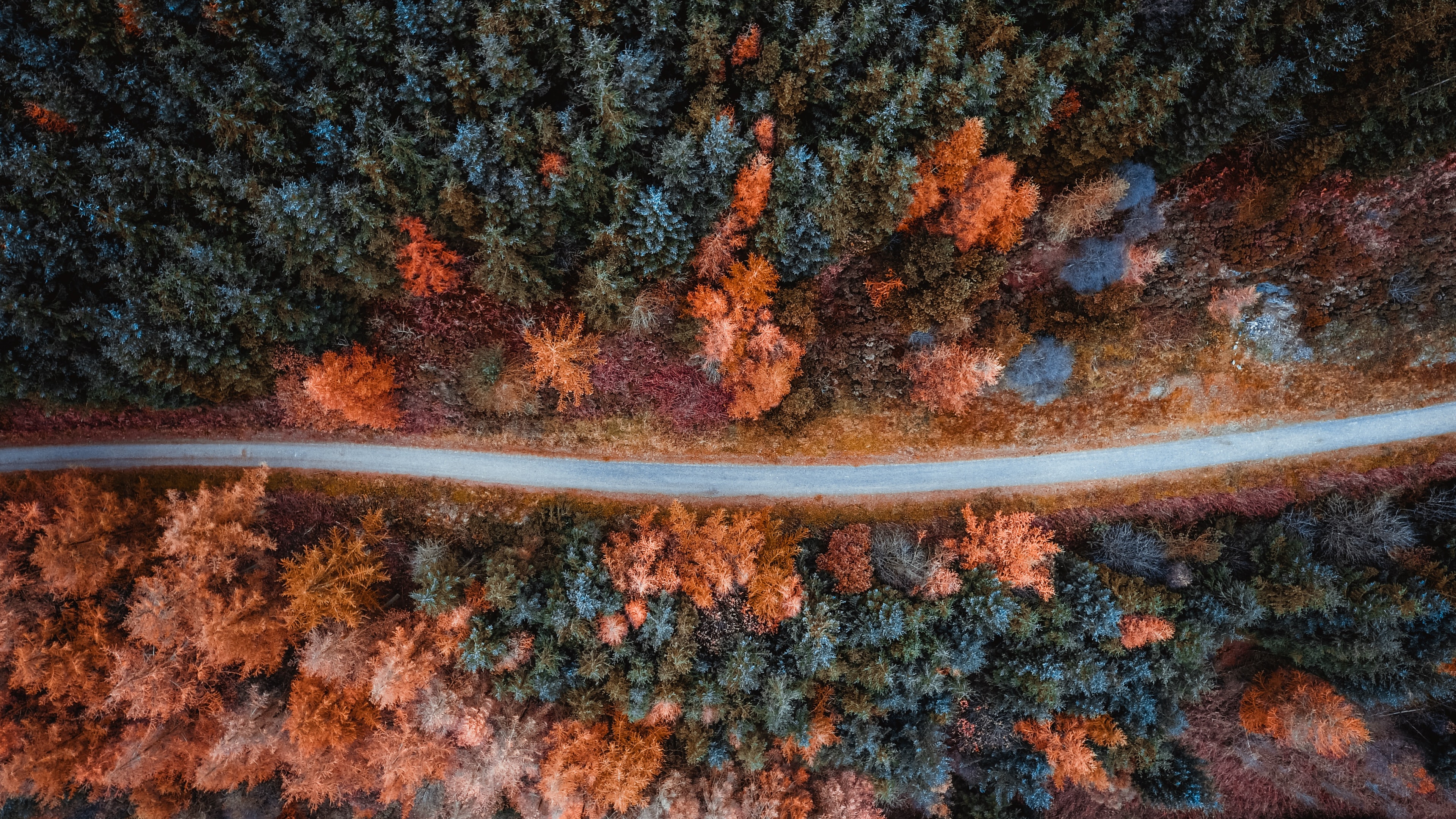 安装元气桌面,海量壁纸一键设置尺寸:3840x2160体积:4.