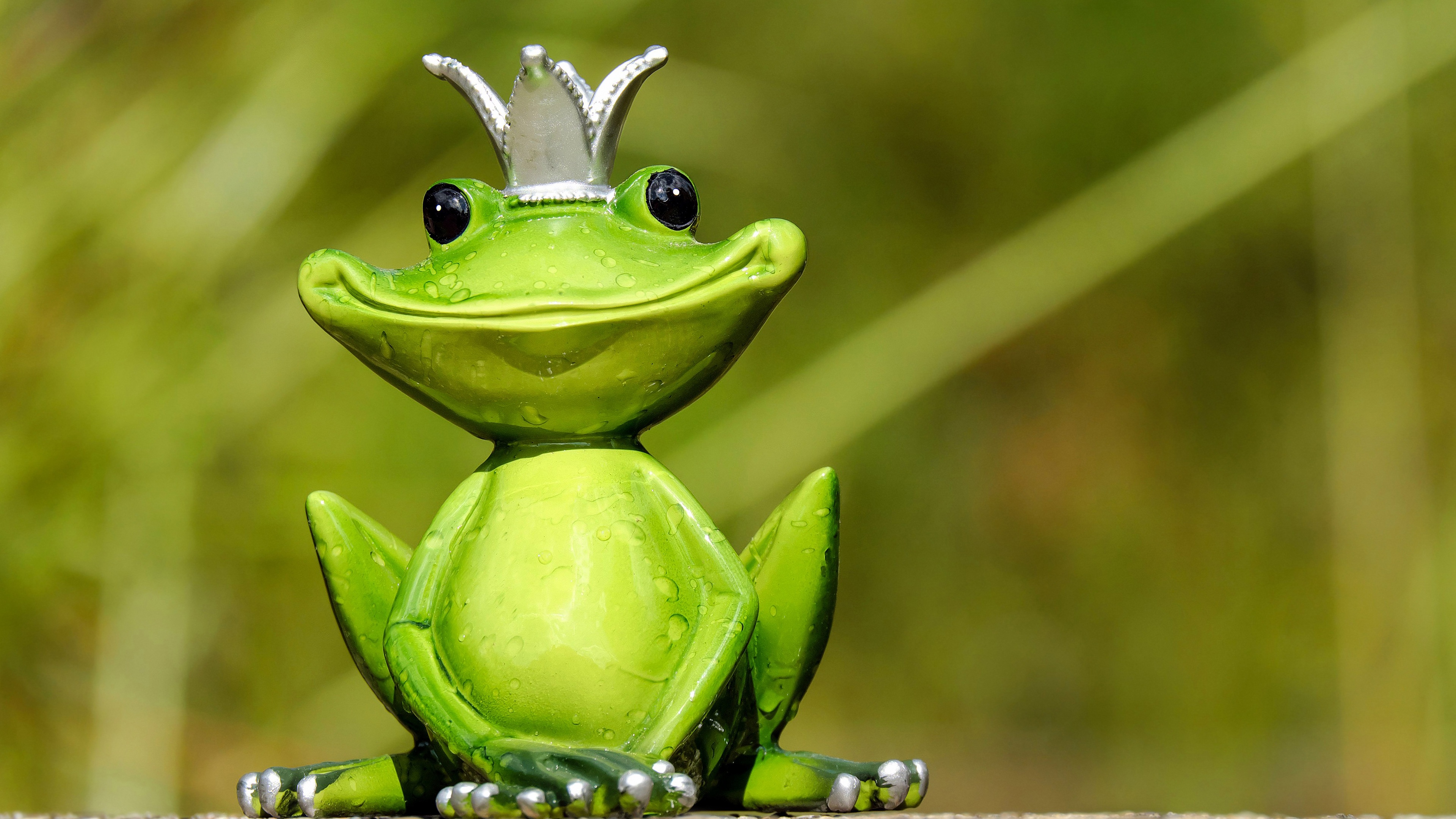 可爱青蛙乐趣创意搞笑的动物4k图片壁纸