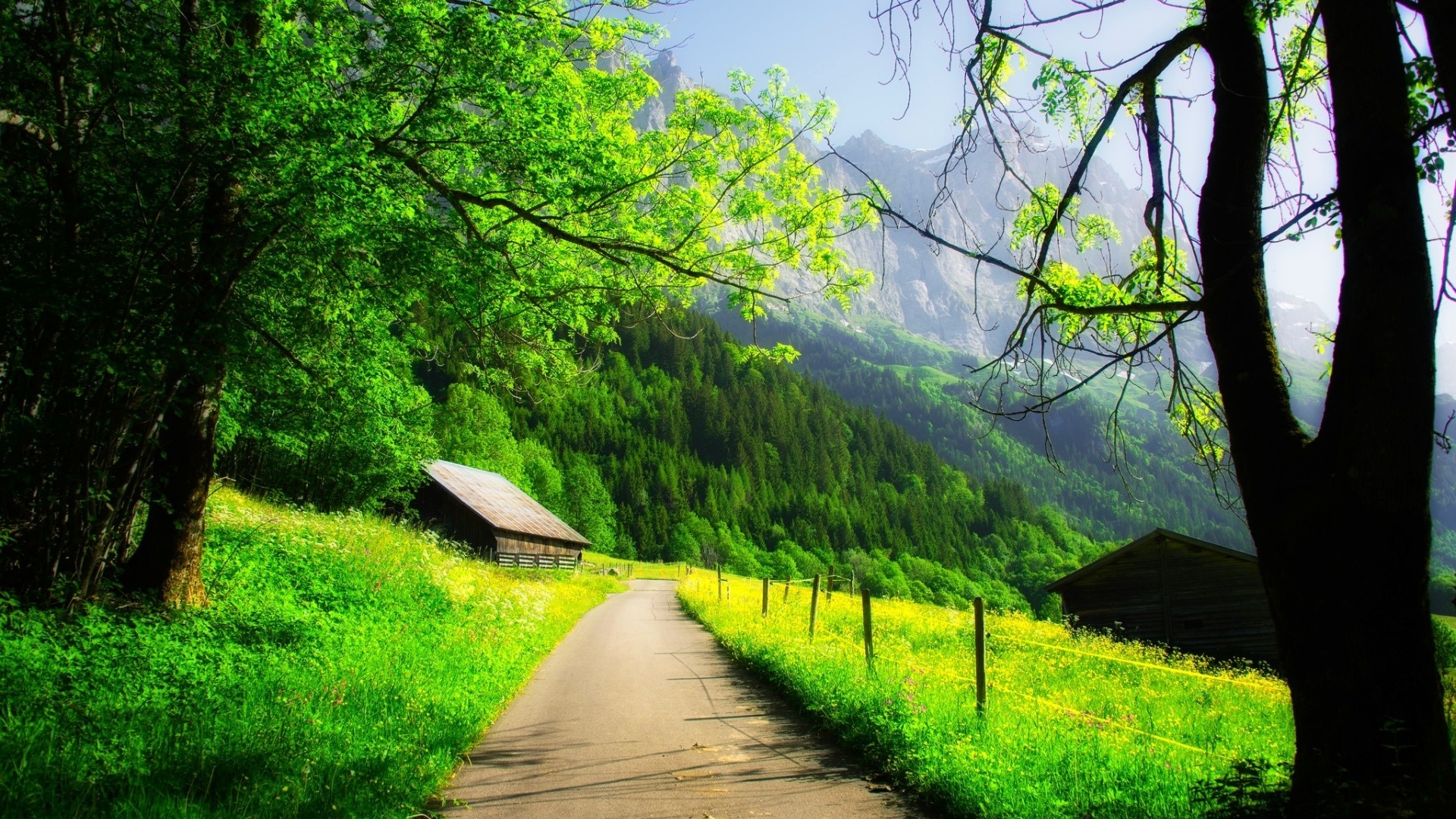 00m上传时间:2020-06-16壁纸标签:护眼壁纸封面图护眼壁纸【102】壁纸