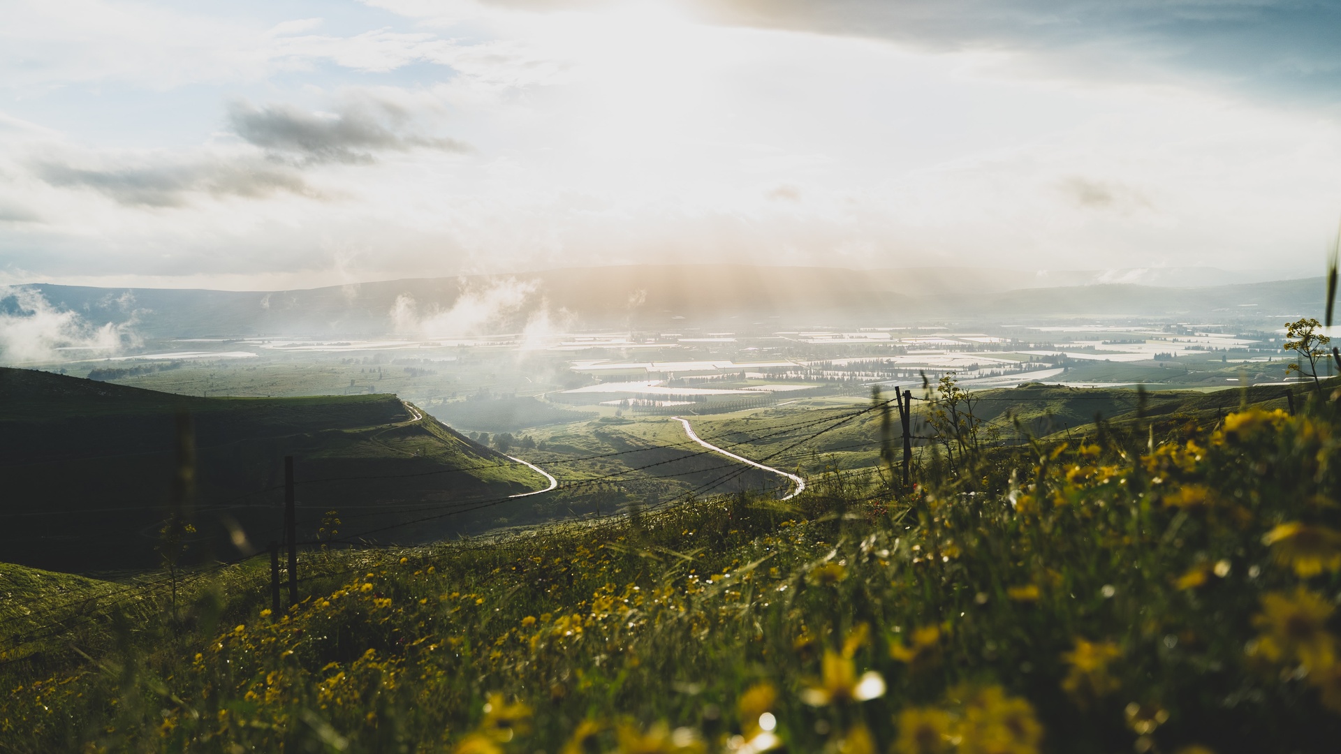 针叶树 自然景观壁纸【3】针叶树壁纸图片_桌面壁纸图片_壁纸下载