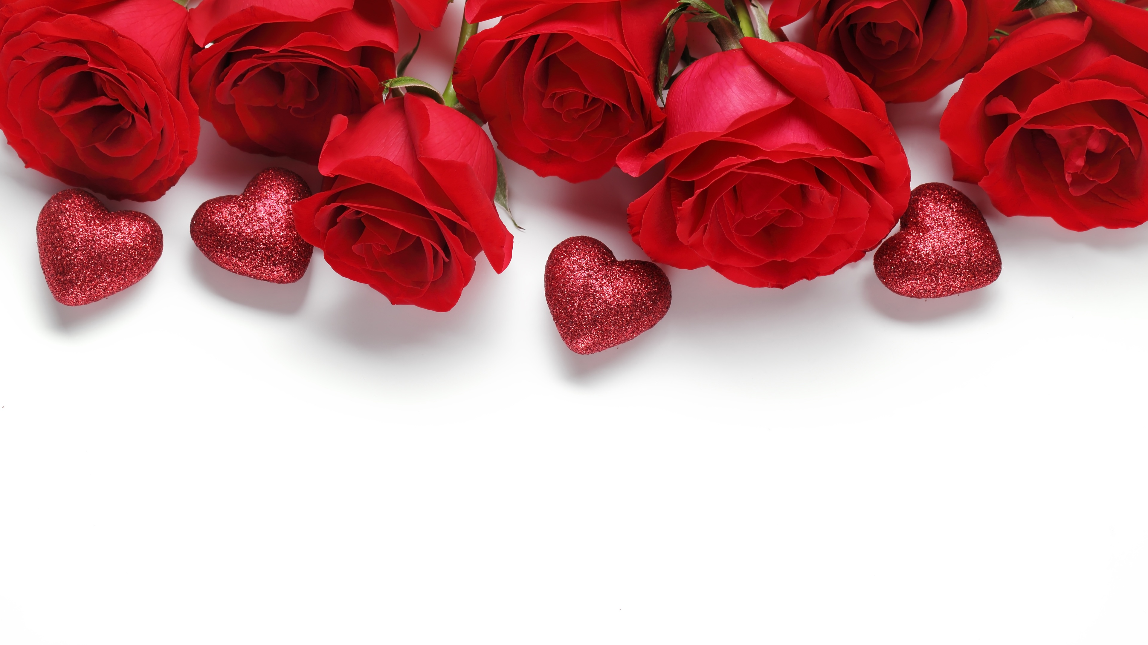 爱情 红色玫瑰 心 白色背景 情人节5k图片壁纸