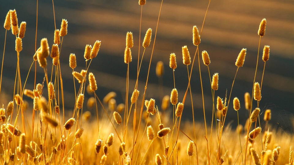 壁纸封面图风景大片落日余晖意境唯美落日傍晚夕阳黄昏自然景观风景