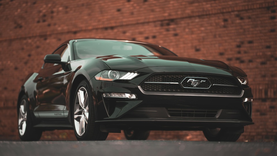 福特 跑车 汽车壁纸