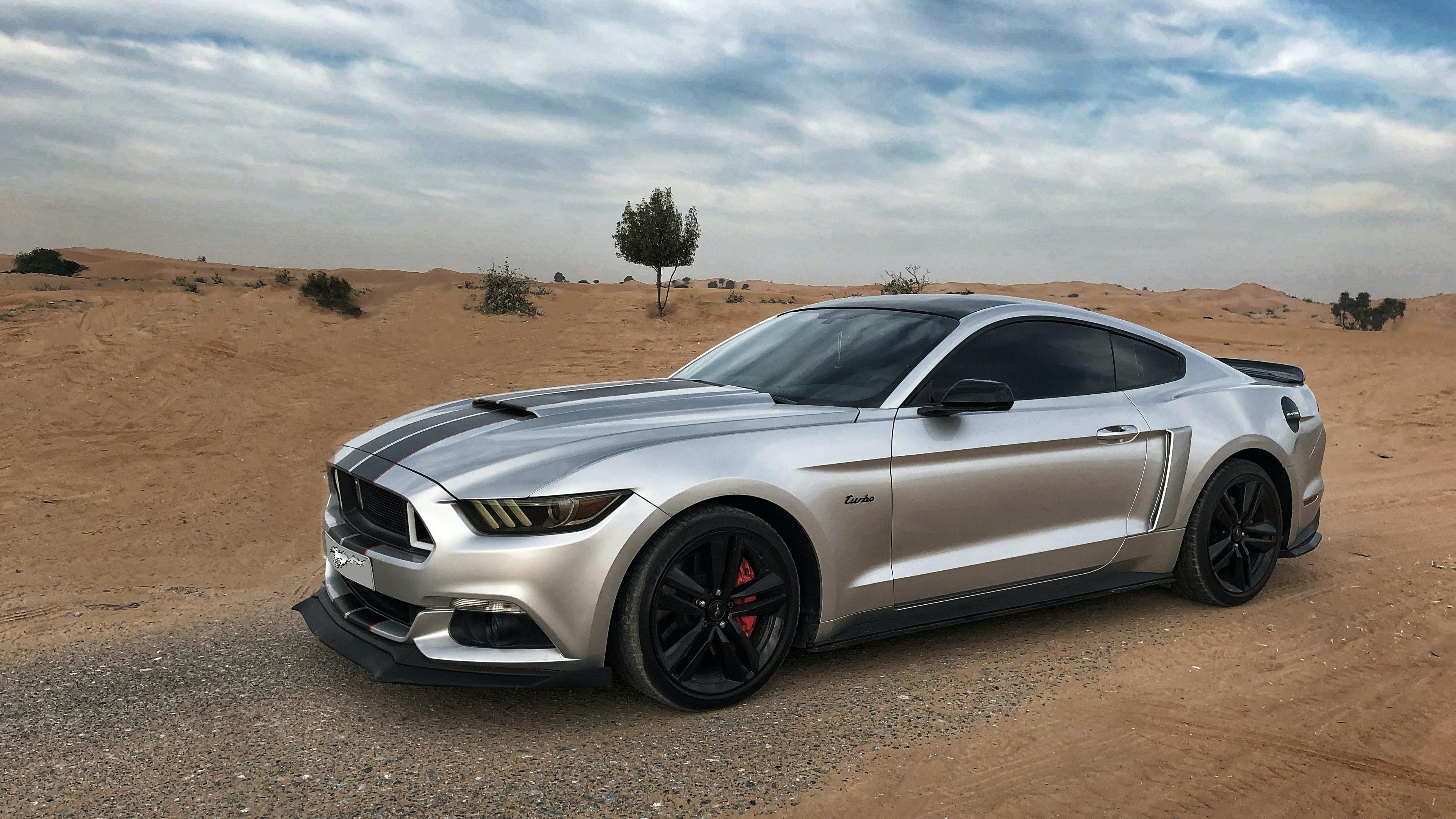 福特 跑车 汽车壁纸【1】