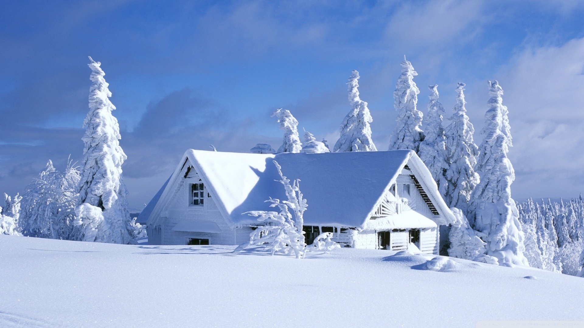 自然 风光 风景 冬天 雪 冬天 冷 寒冷 风景大片壁纸