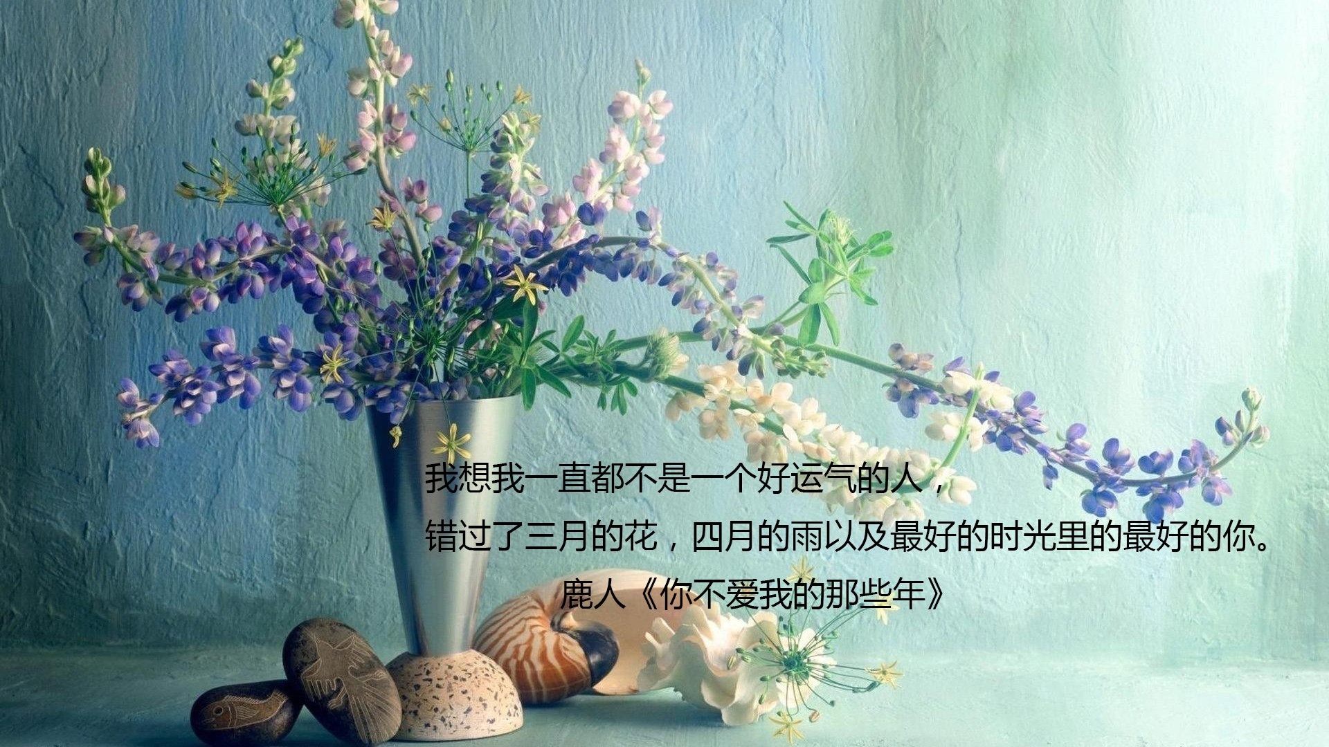 文字语录鹿人文字控壁纸