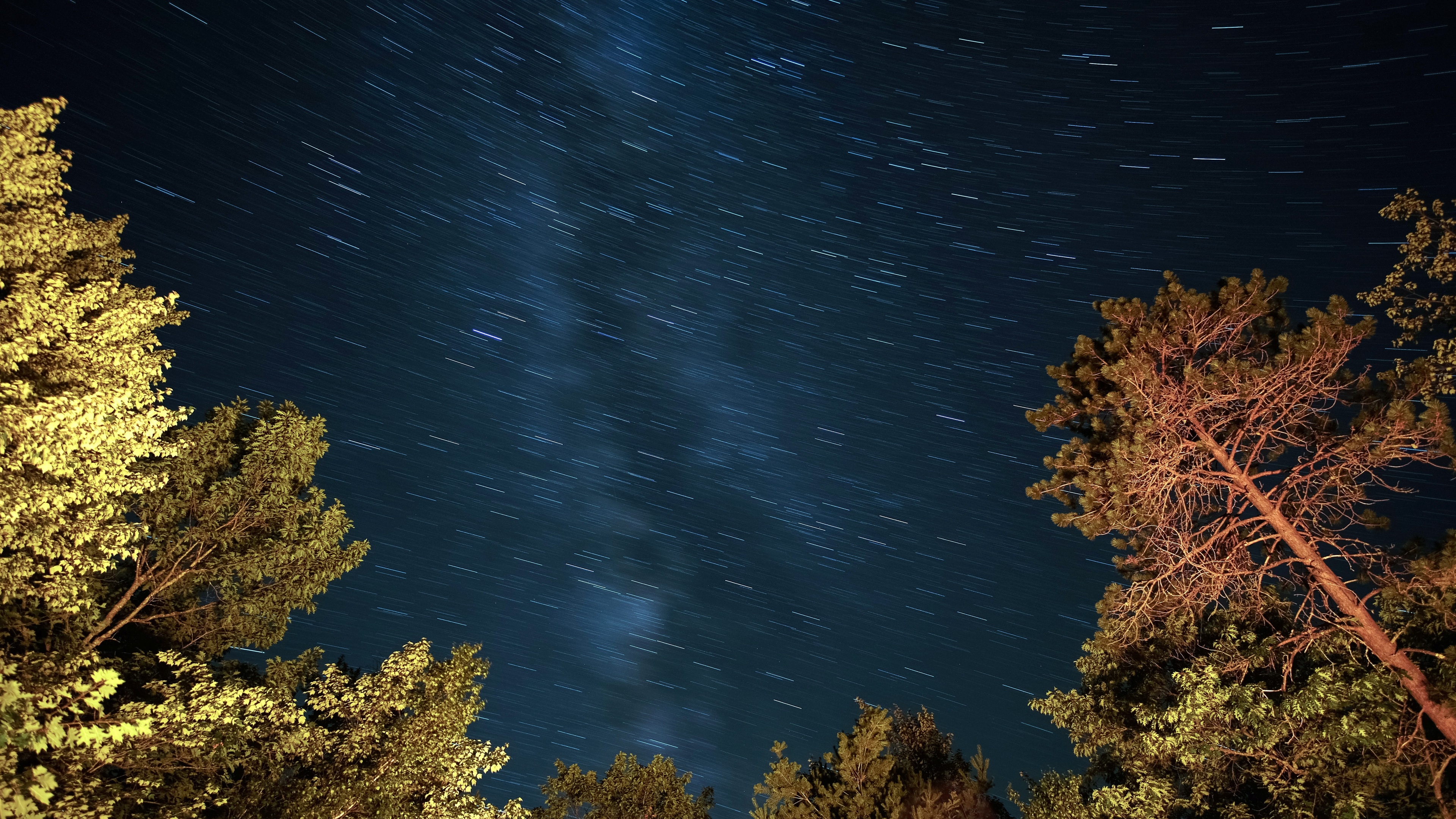 37m上传时间:2020-06-16壁纸标签:自然景观花草树木4k壁纸封面图自然