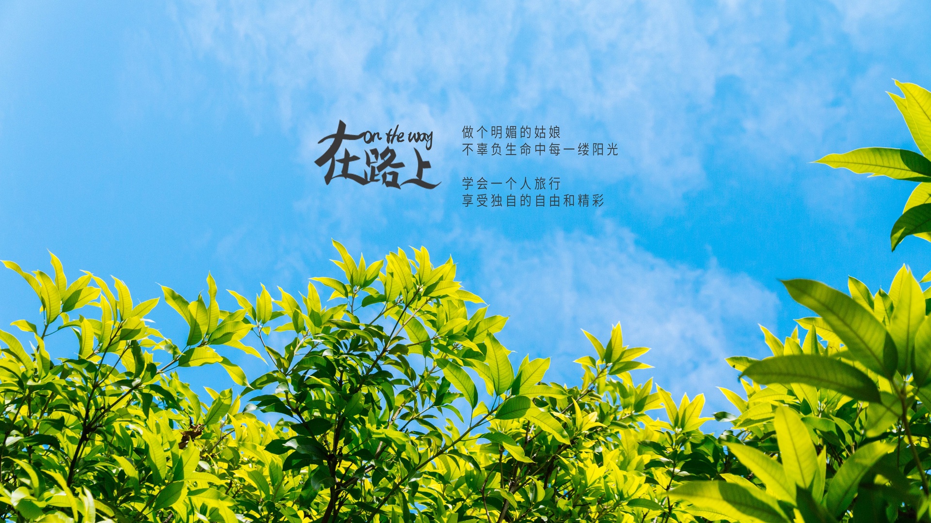 大鱼主题自然郊野风光：带有淡白色薄云的浅蓝色晴空下，分布着嫩绿与深绿色的乔木枝叶，整体清新柔和。