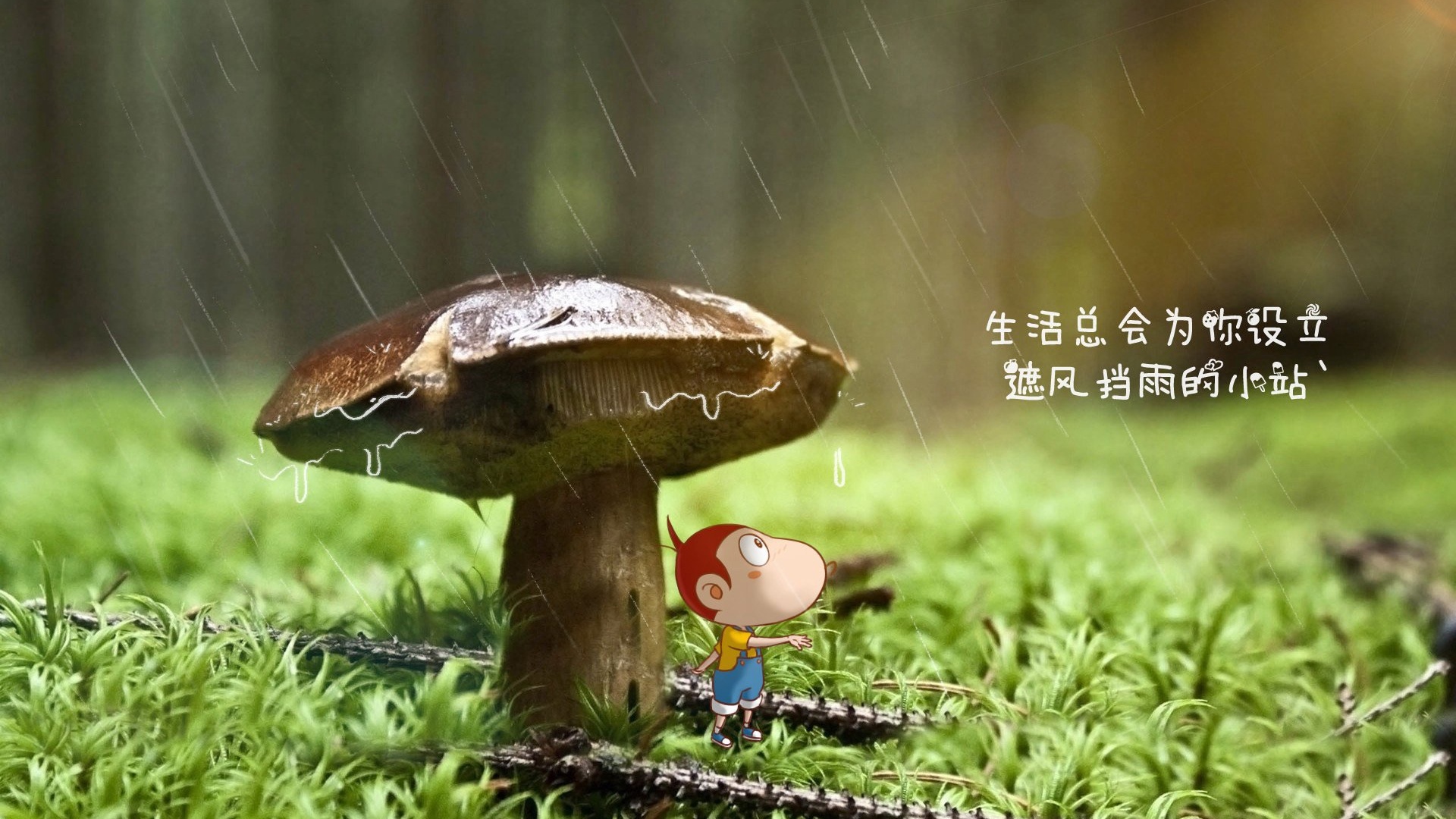 生活蘑菇遮风挡雨小站文字控壁纸