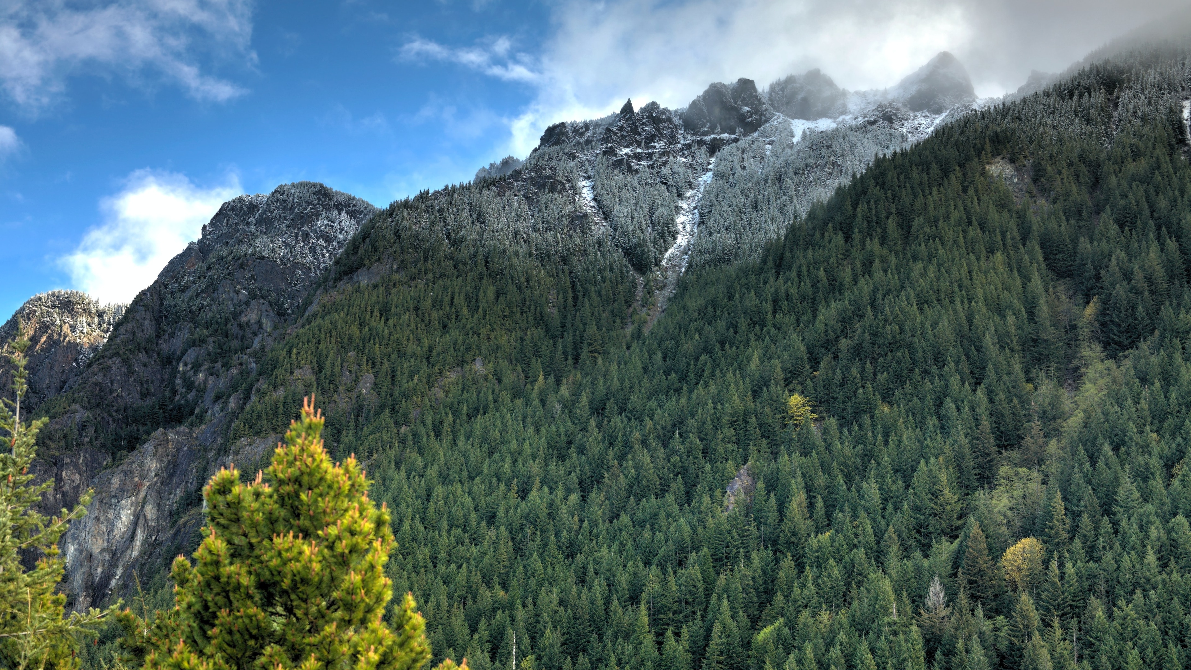 森林 山壁纸(风景静态壁纸) - 静态壁纸下载 - 元气壁纸