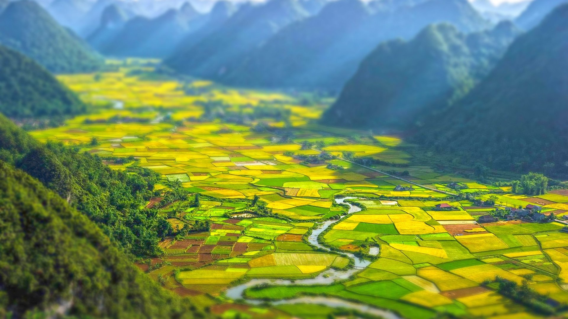 风景 油菜花 高山 移轴 风景大片壁纸