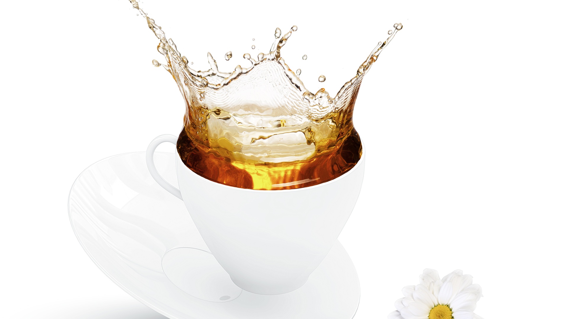 静物写真 杯 茶叶 花卉壁纸