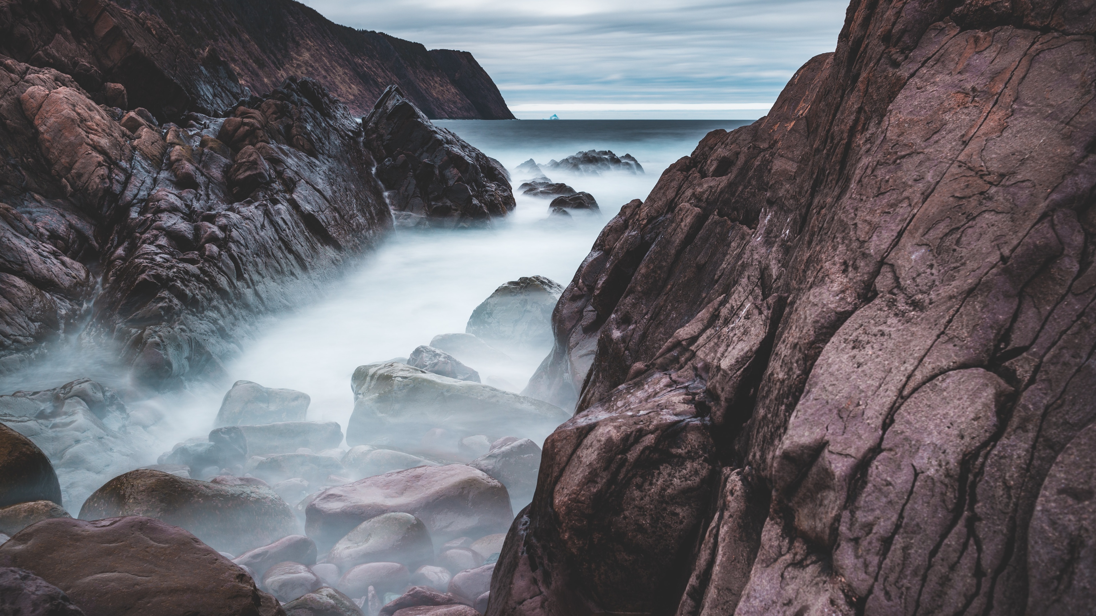 悬崖 植物壁纸(风景静态壁纸) - 静态壁纸下载 - 元气壁纸