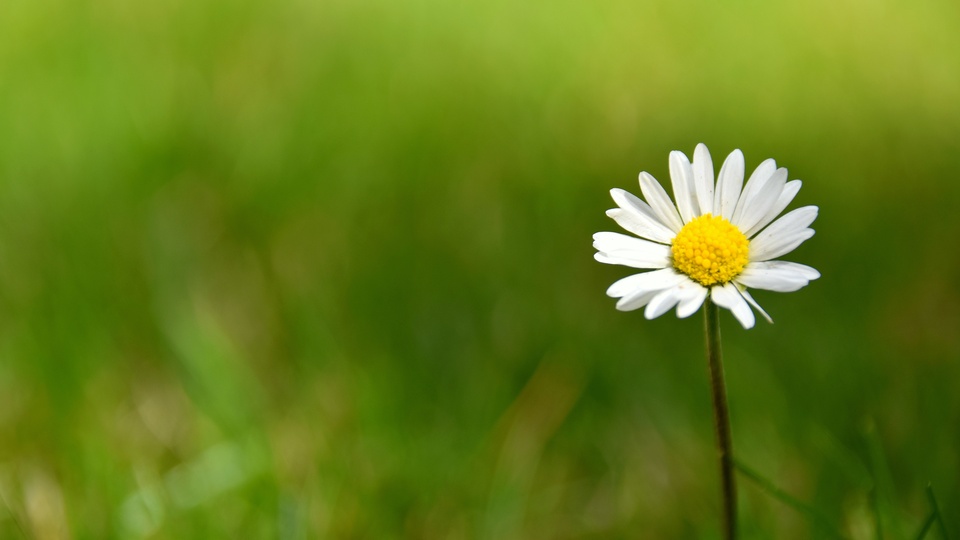 护眼壁纸【580】(小清新静态壁纸) 静态壁纸下载 元气壁纸