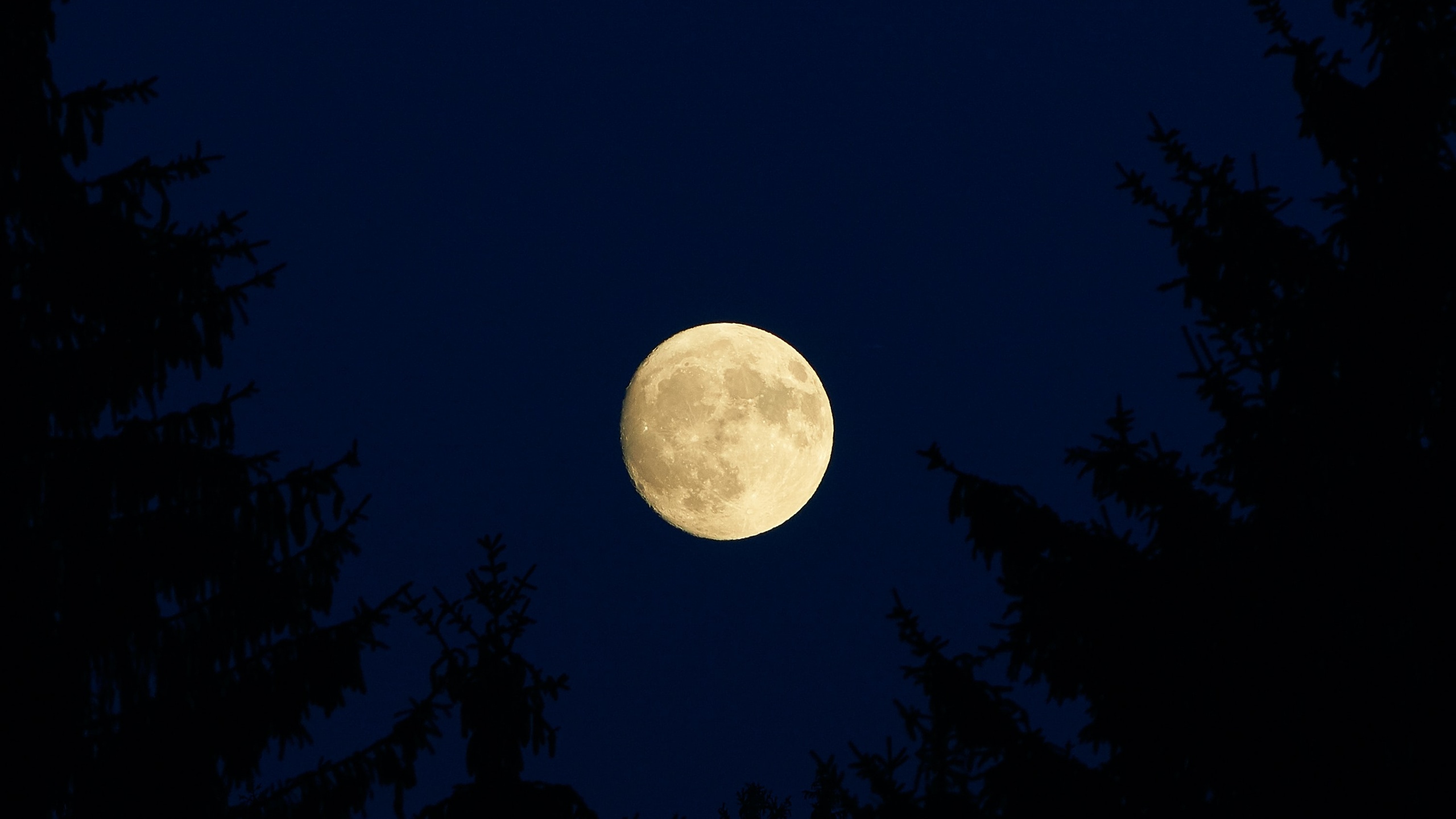 月亮月光的夜晚4K图片-千叶网