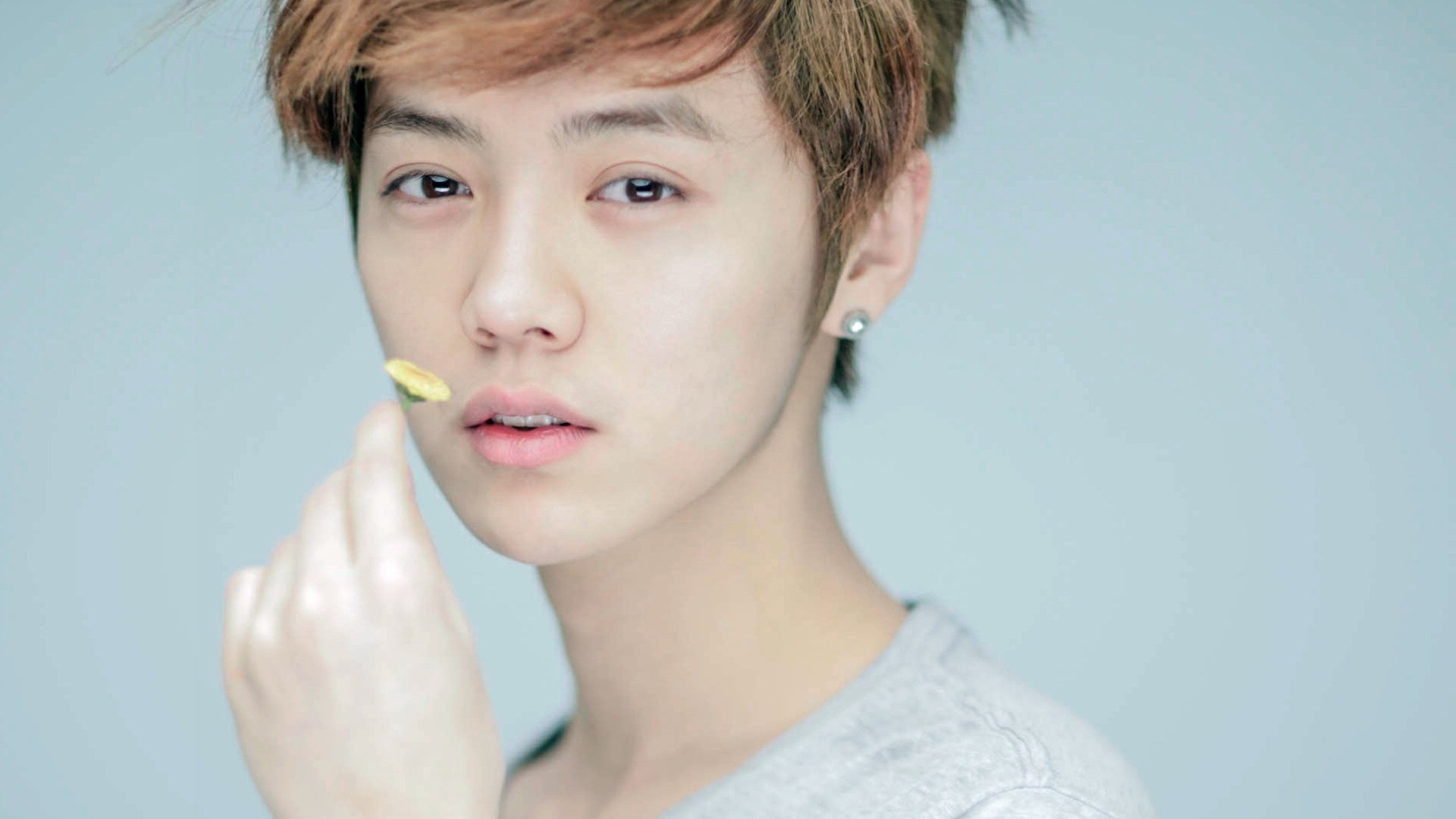 鹿晗 小鲜肉 明星风尚壁纸