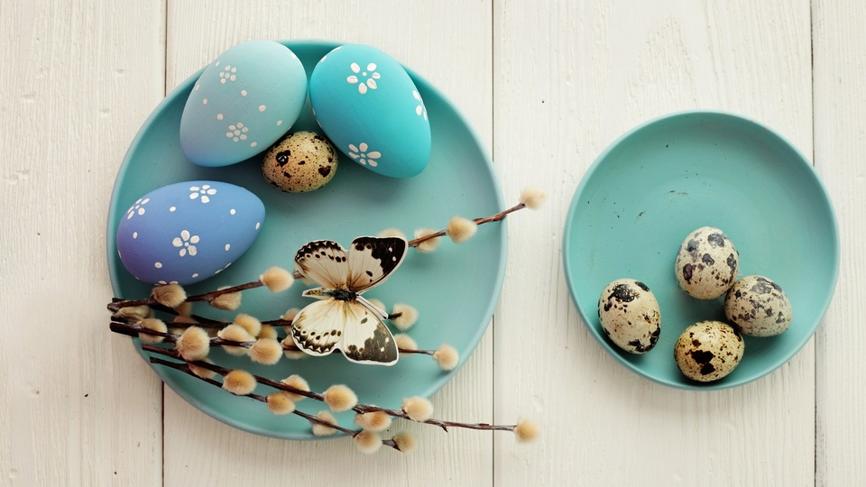静物写真 复活节 彩蛋 蝴蝶壁纸