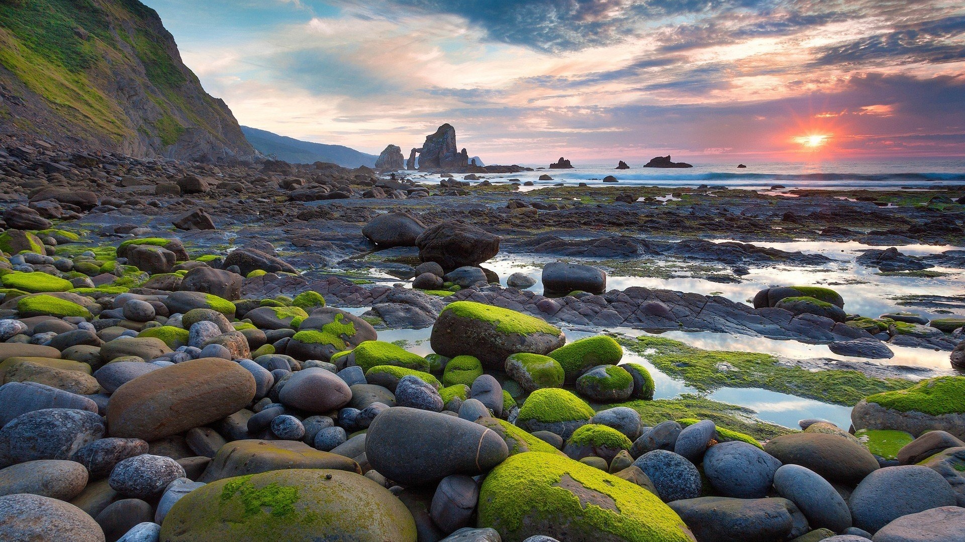 日落滨海礁滩场景，前景为覆鲜绿苔藓的潮间砾石，右侧海面上方悬着橙粉色落日，远处分布多座海蚀岩。