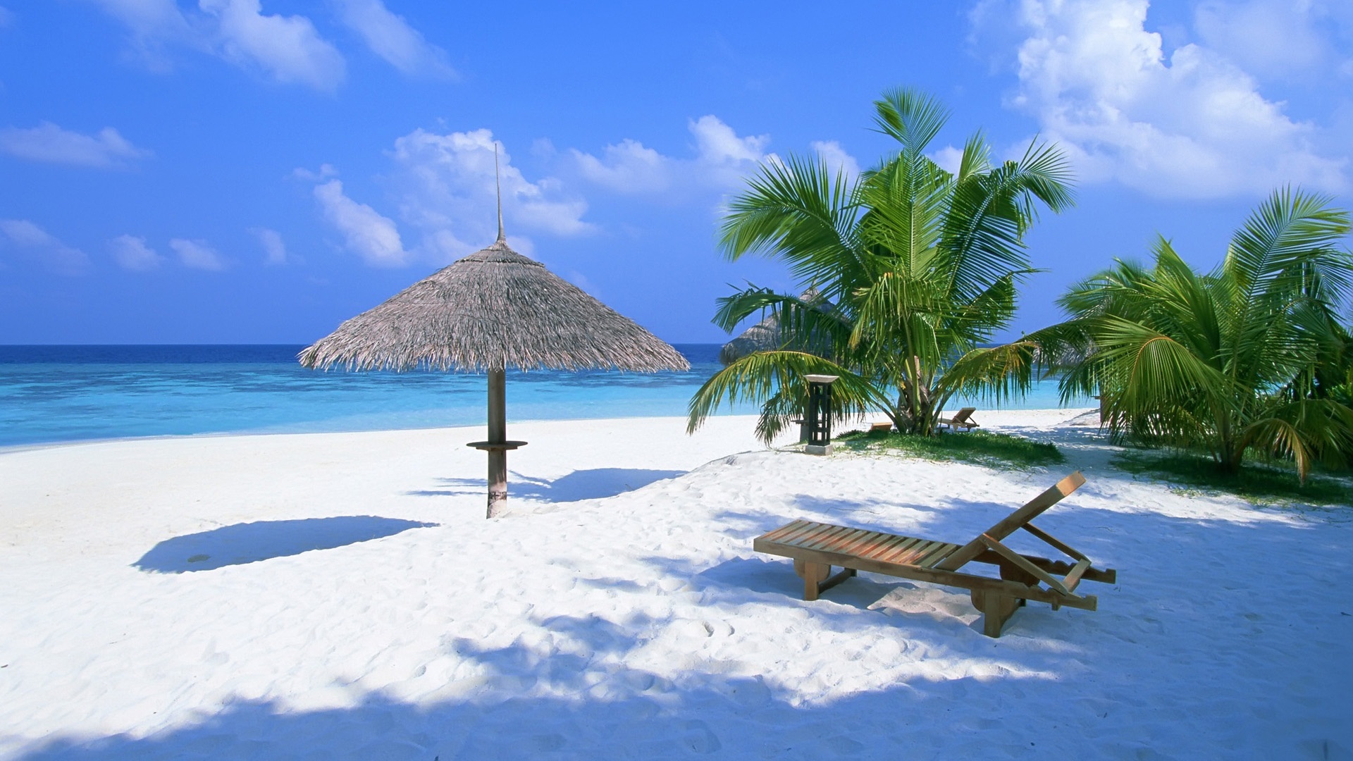 夏天 巴哈马 海洋 沙滩 躺椅 棕榈树 夏天风景桌面壁纸壁纸