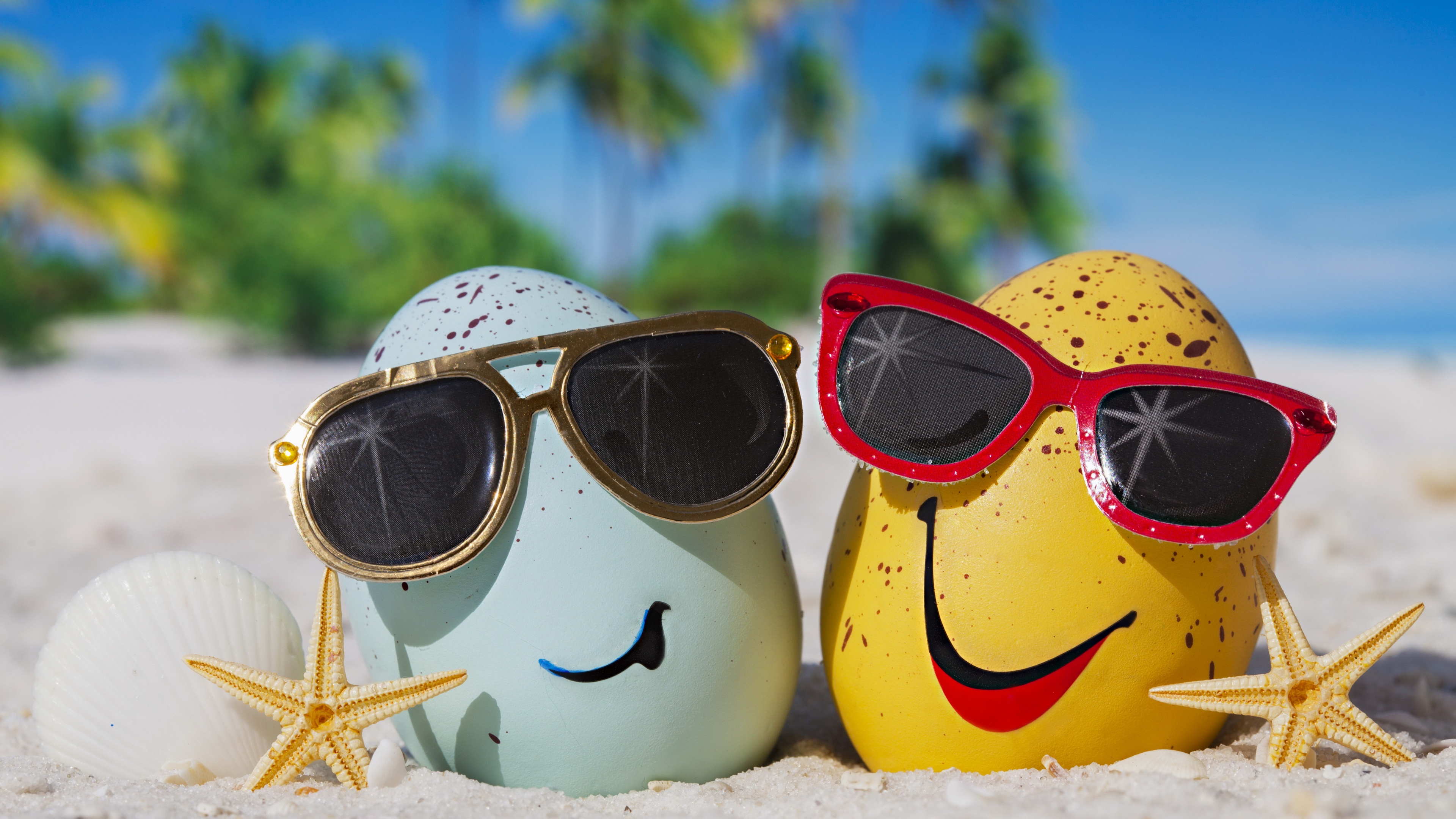 夏天海滩蛋搞笑表情眼镜海星贝壳6k壁纸壁纸
