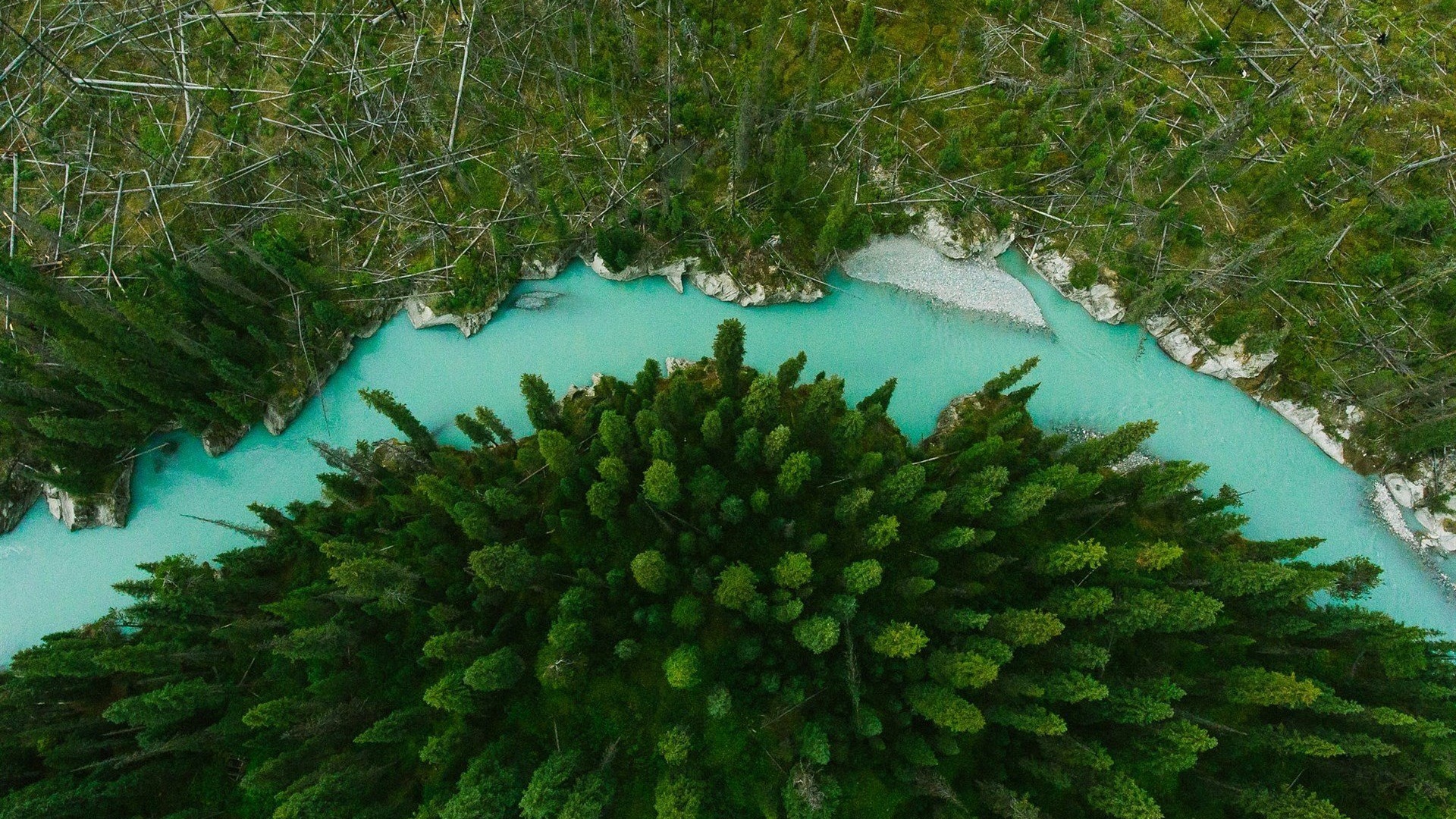 风景 航拍 森林 河流 风景大片壁纸