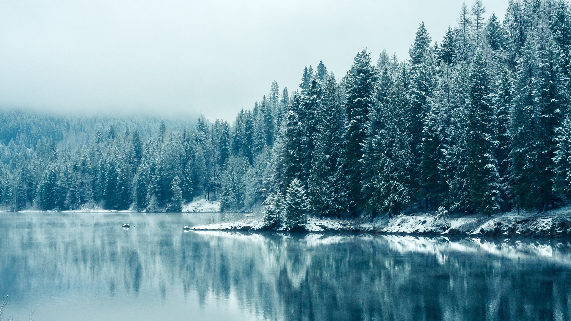 湖水 树林 冬天 白雪 4k专区壁纸