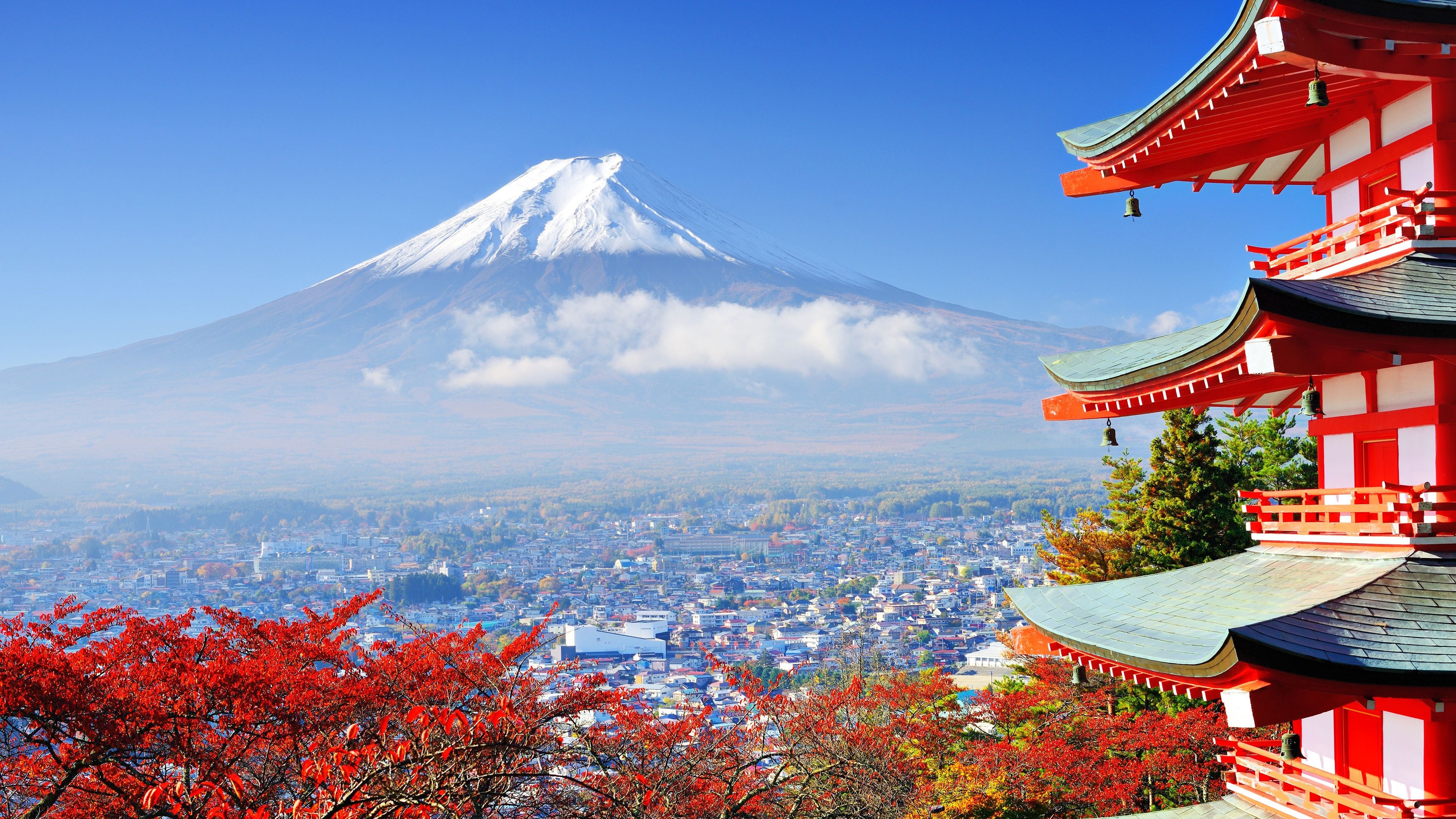 日本 富士山 楼阁 樱花 4k专区壁纸