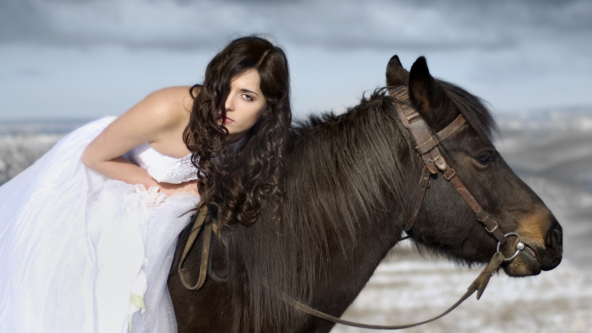 一匹马在雪中的新娘5k壁纸壁纸一匹马在雪中的新娘5k壁纸壁纸图片 桌面壁纸图片 壁纸下载 元气壁纸
