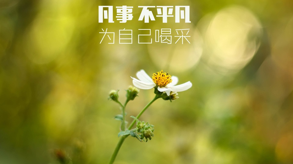 29m尺寸:1920x1080安装元气桌面,海量壁纸一键设置