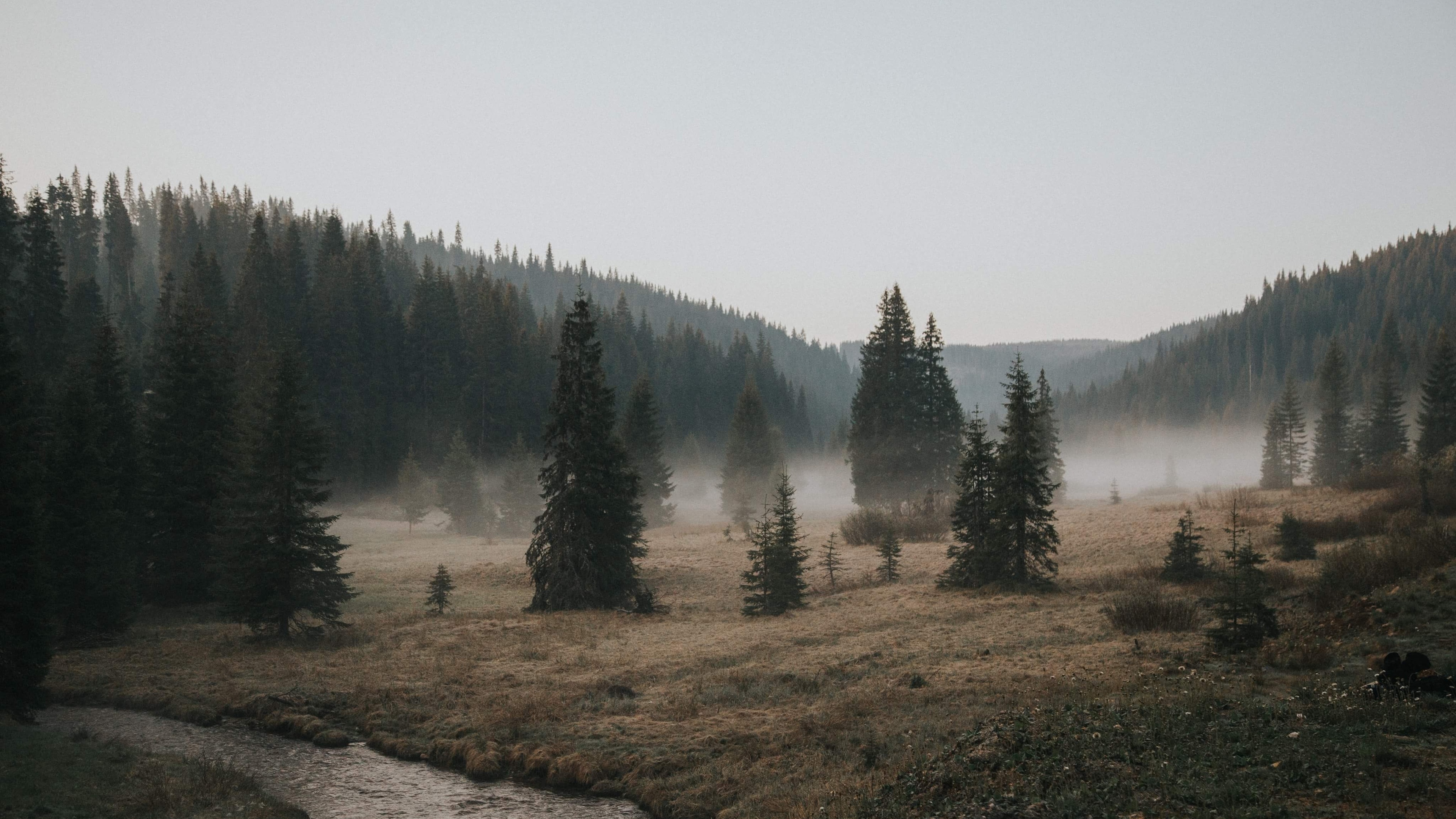 08m上传时间:2020-06-16壁纸标签:花草树木自然景观4k壁纸封面图花草