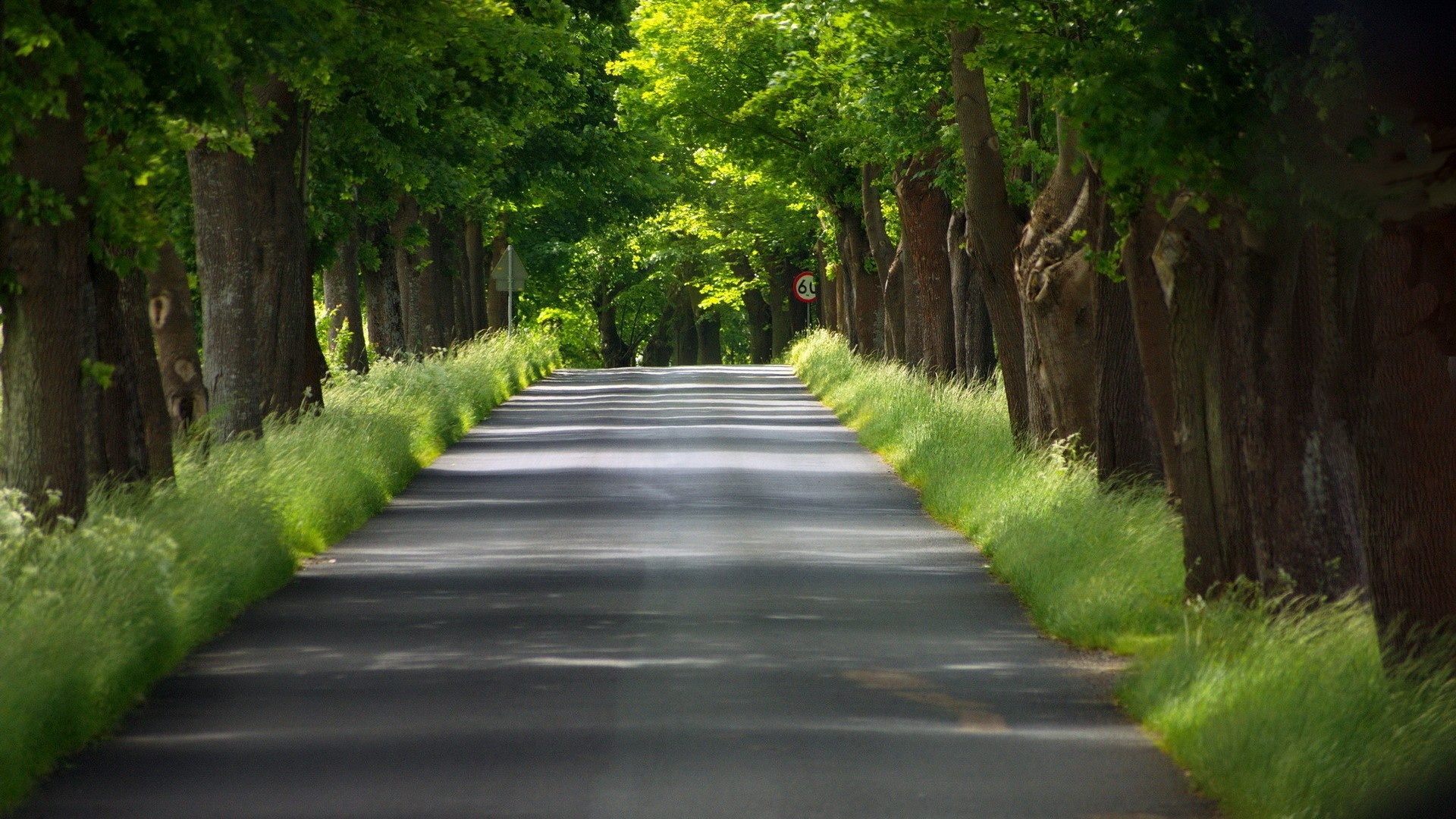 护眼壁纸【602】壁纸是一款电脑壁纸,属于小清新分类