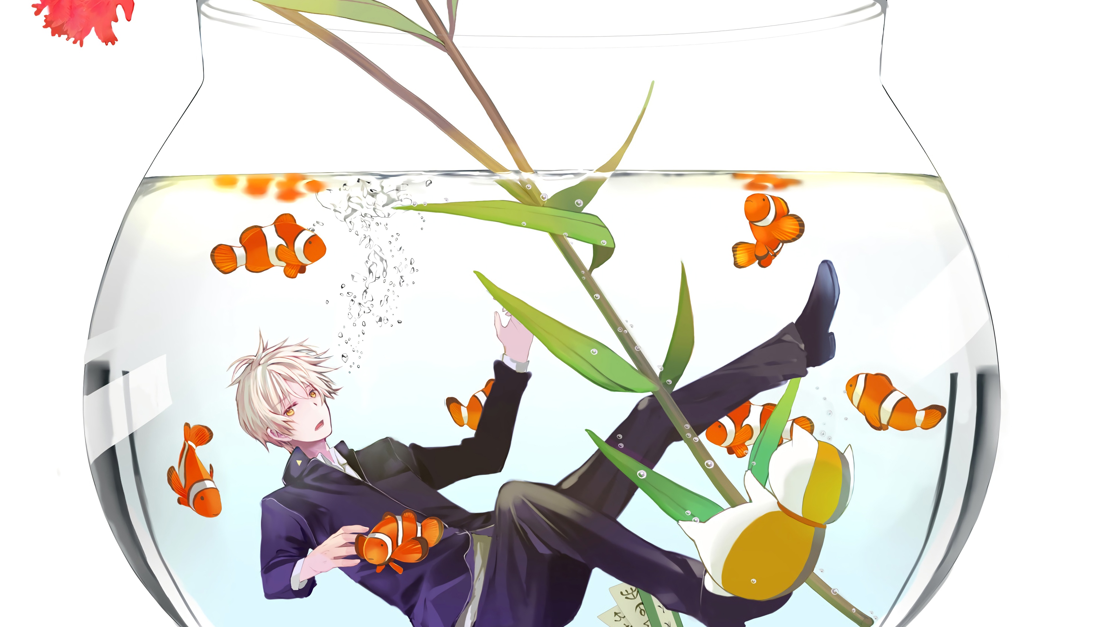 鱼缸花夏日友人帐壁纸