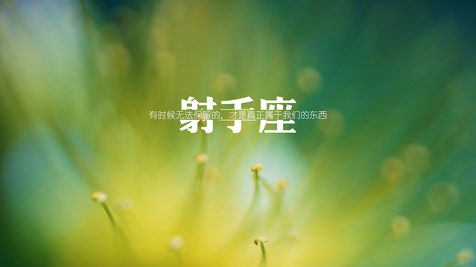 个性星座壁纸157