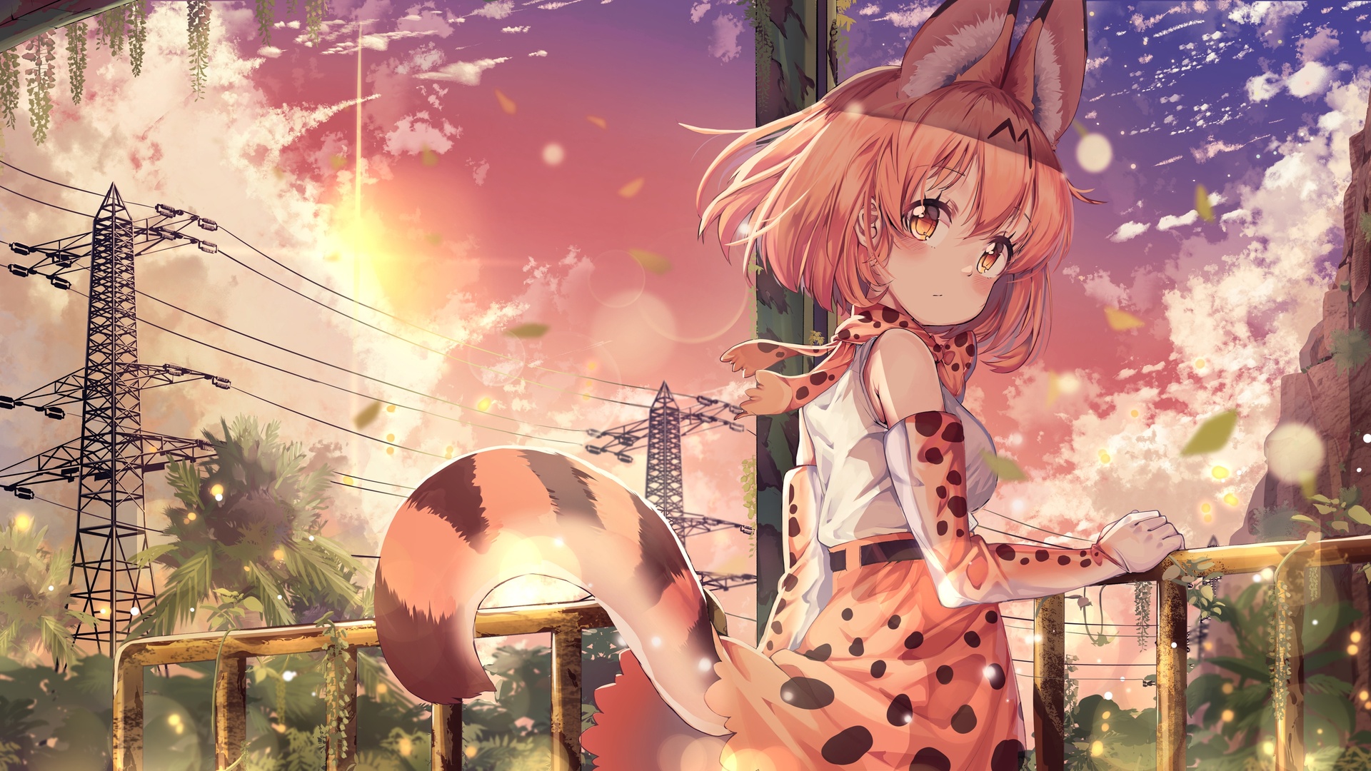 兽耳 尾巴 可爱女孩4k动漫壁纸壁纸