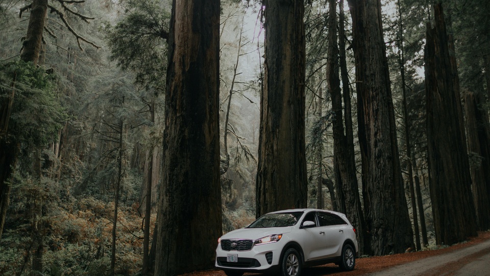 起亚 汽车壁纸【1】