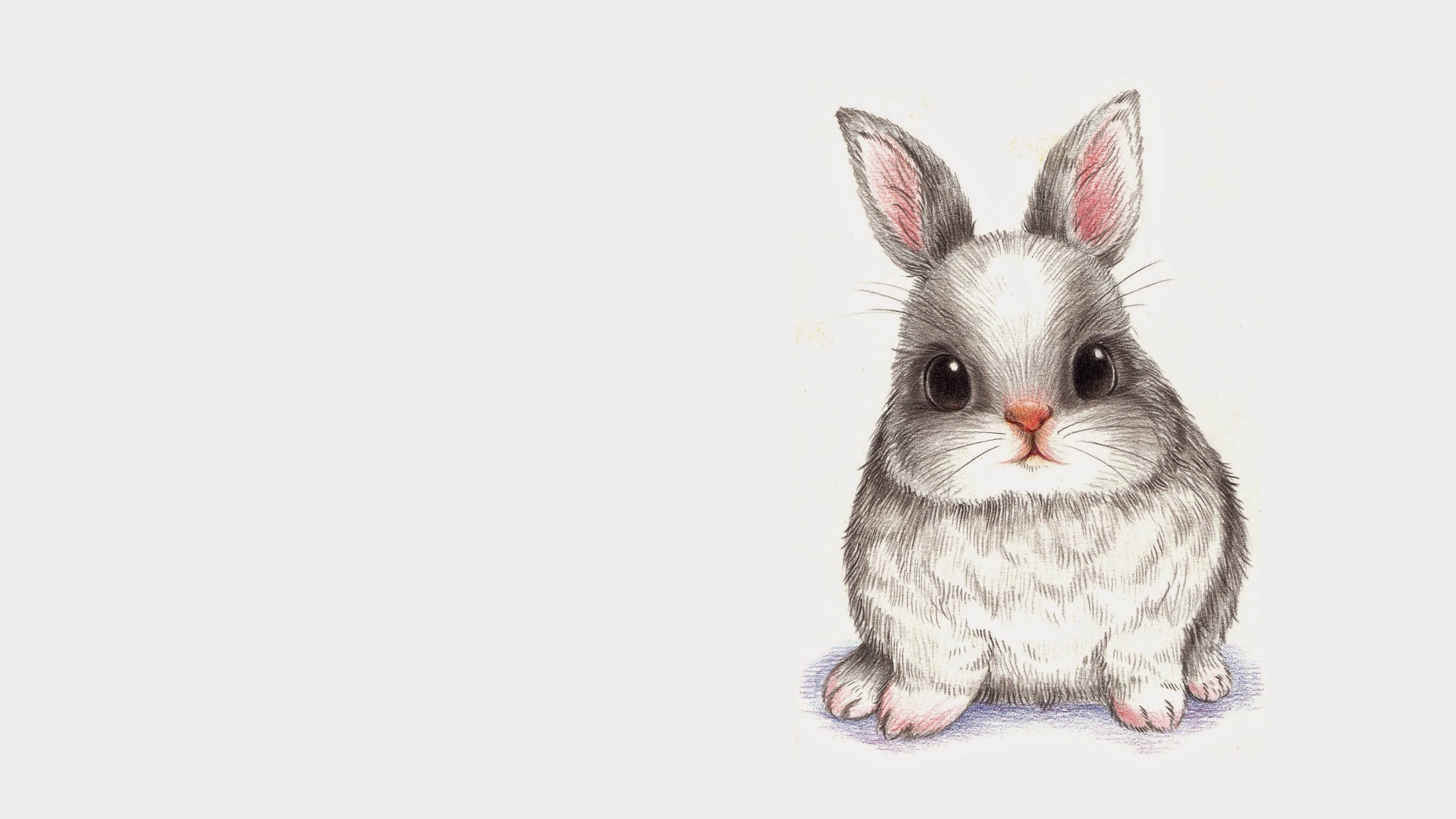 简约淡雅兔子宝贝艺术铅笔简单背景图片壁纸
