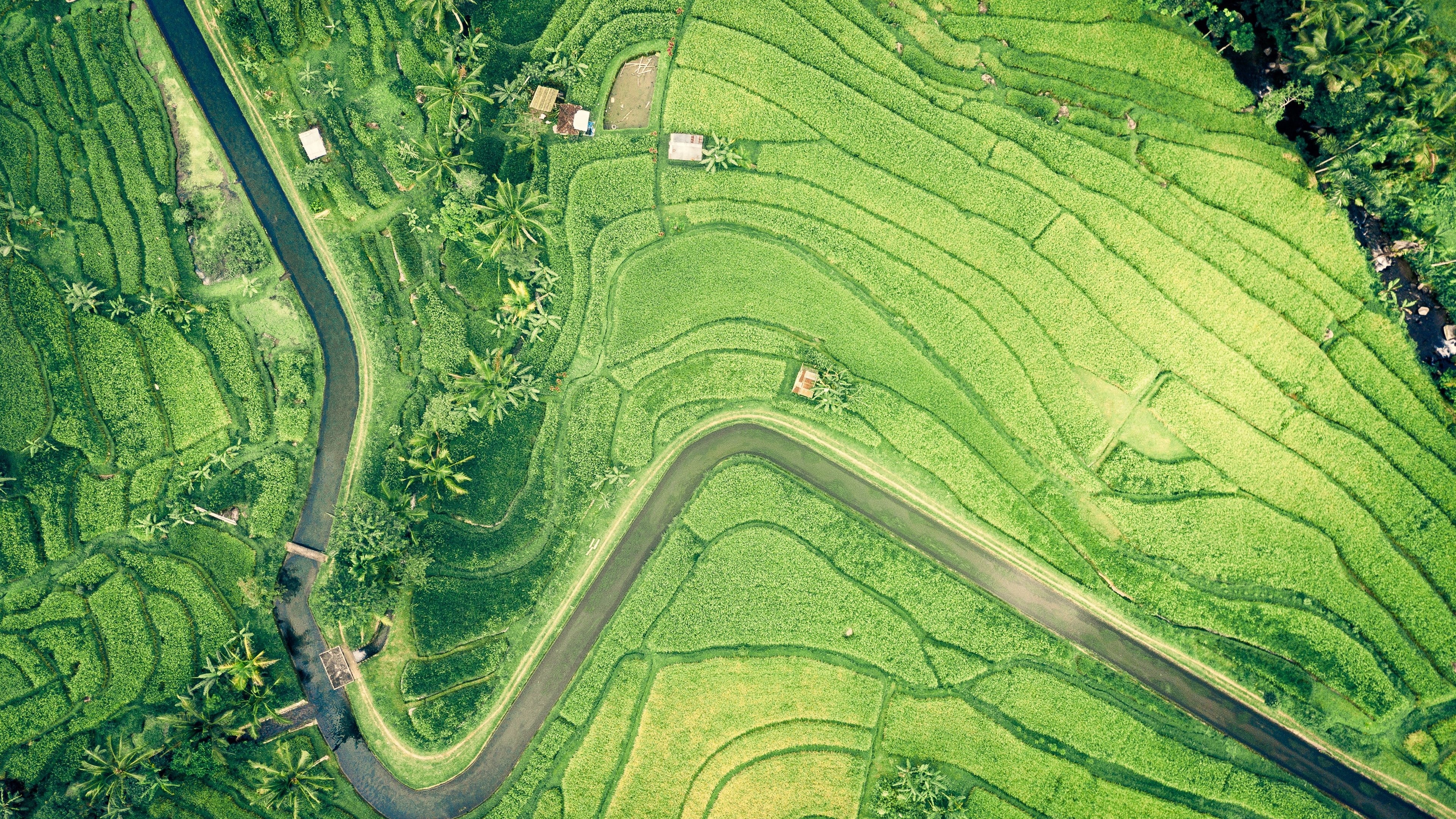 自然景观航拍田地风景大片壁纸