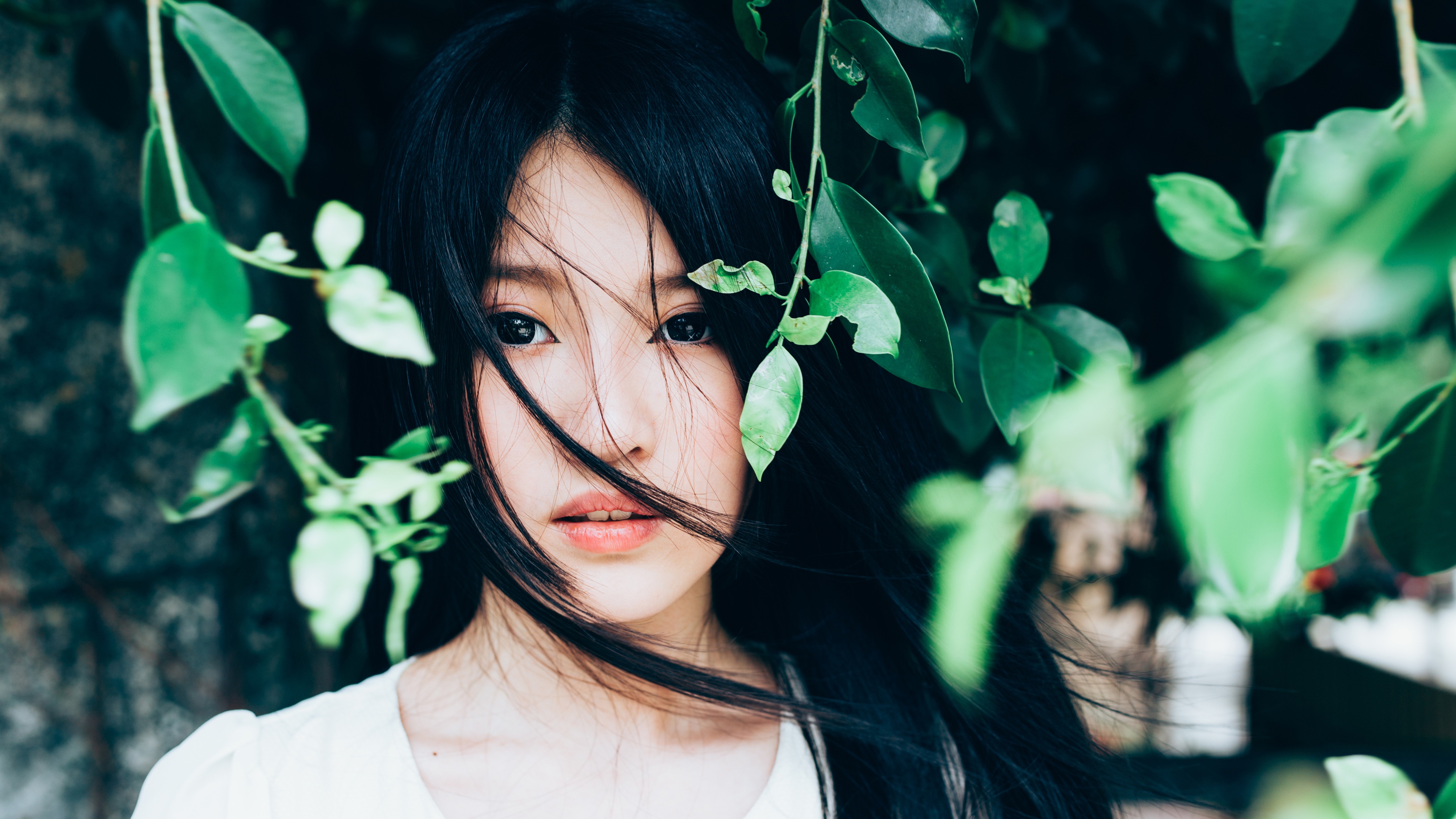 亚洲女孩 黑发 树林 叶子 4K美女壁纸壁纸