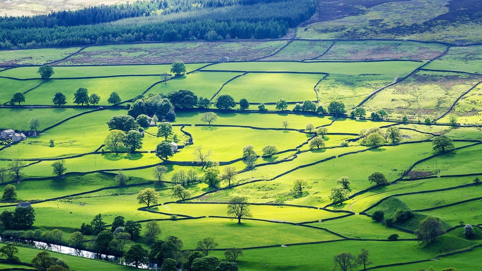 风景自然景观唯美意境在季节的转角处平原草地绿色养眼村庄安静风景