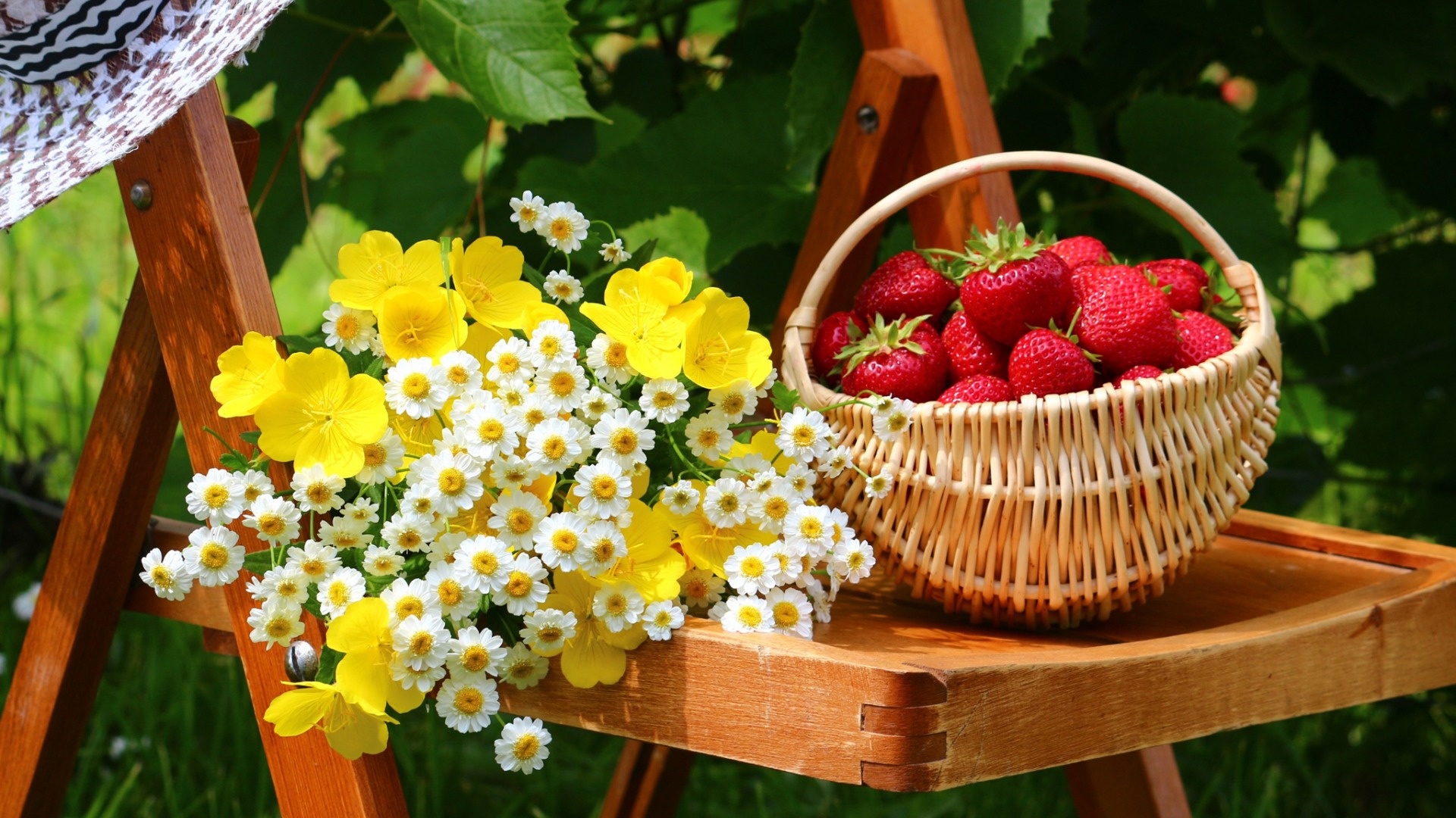 花园院子椅子花花篮草莓桌面壁纸壁纸