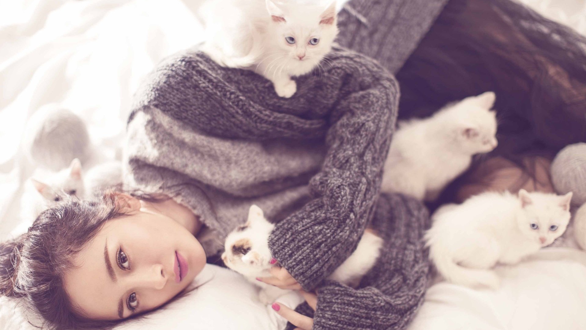 杨幂写真冬日猫咪明星风尚壁纸1