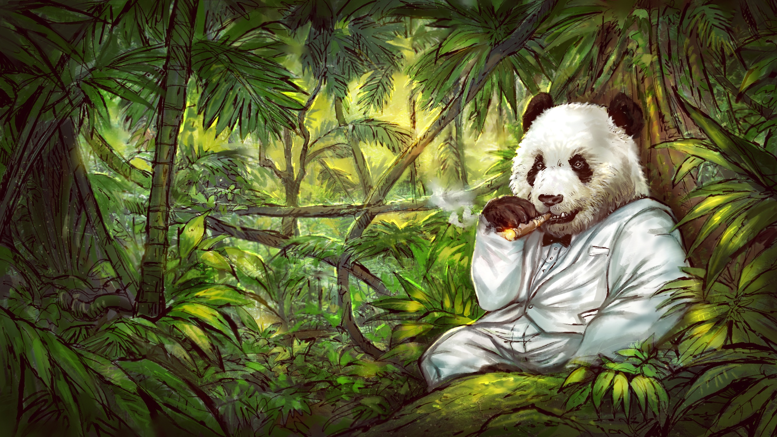 熊猫壁纸 - 高清图片，堆糖，美图壁纸兴趣社区