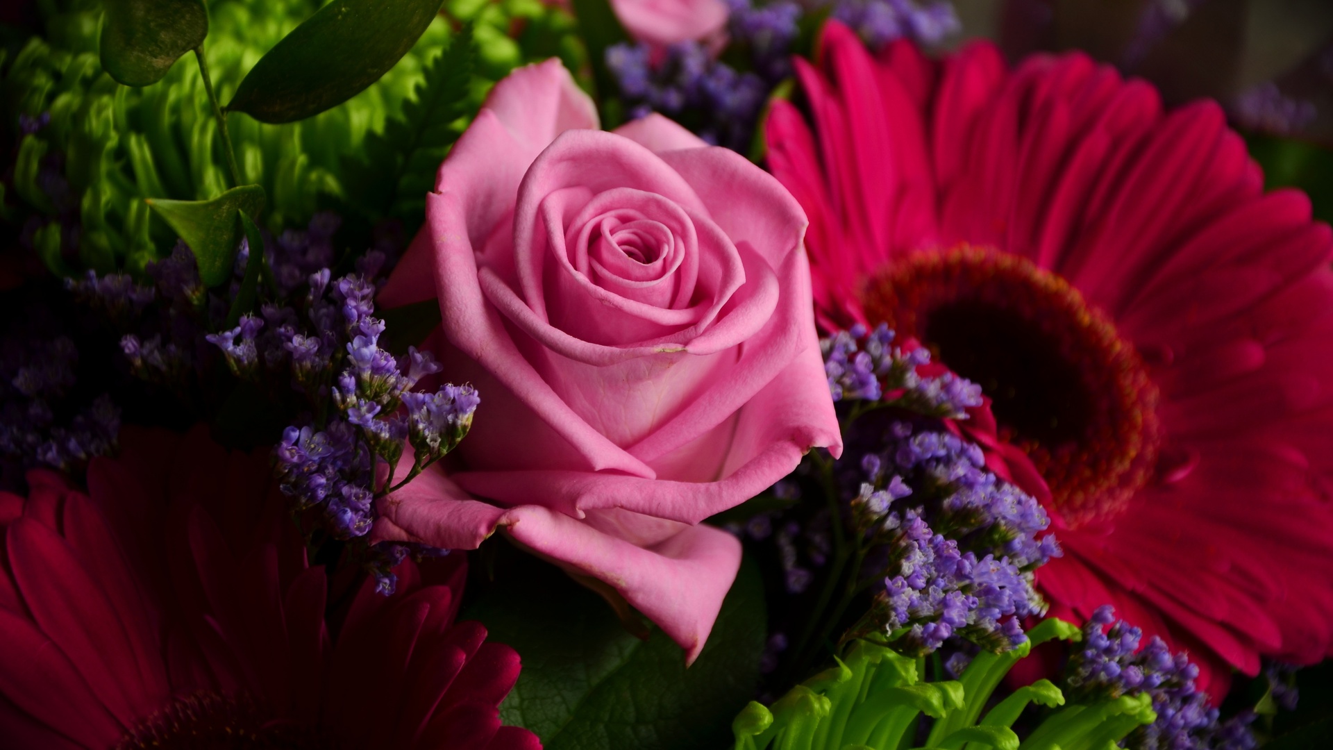 爱情玫瑰粉红色花束生日母亲节玫瑰绽放丰富多彩壁纸爱情壁纸图片 桌面壁纸图片 壁纸下载 元气壁纸