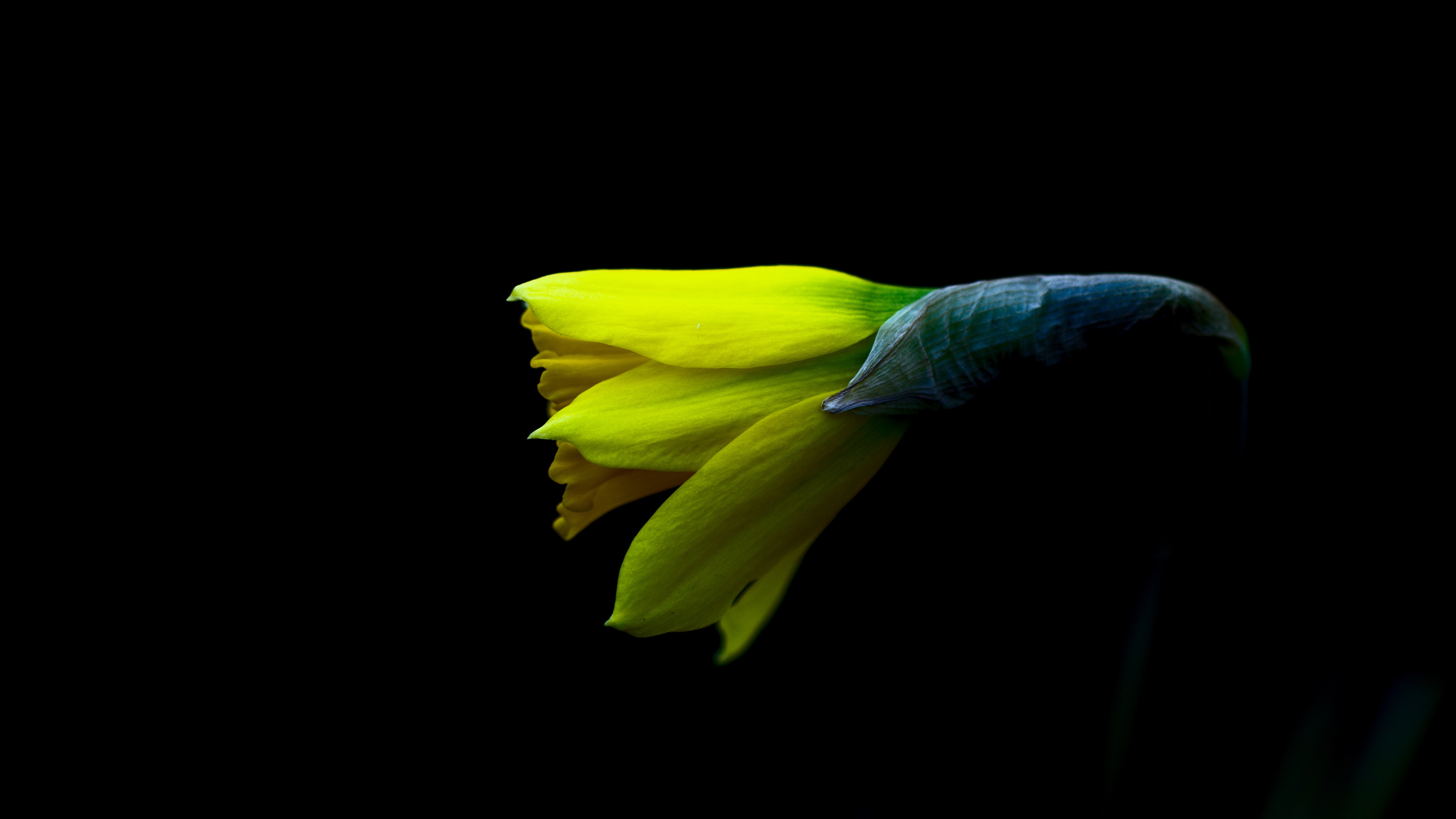 Ubuntu 内置4k壁纸壁纸 小清新静态壁纸 静态壁纸下载 元气壁纸