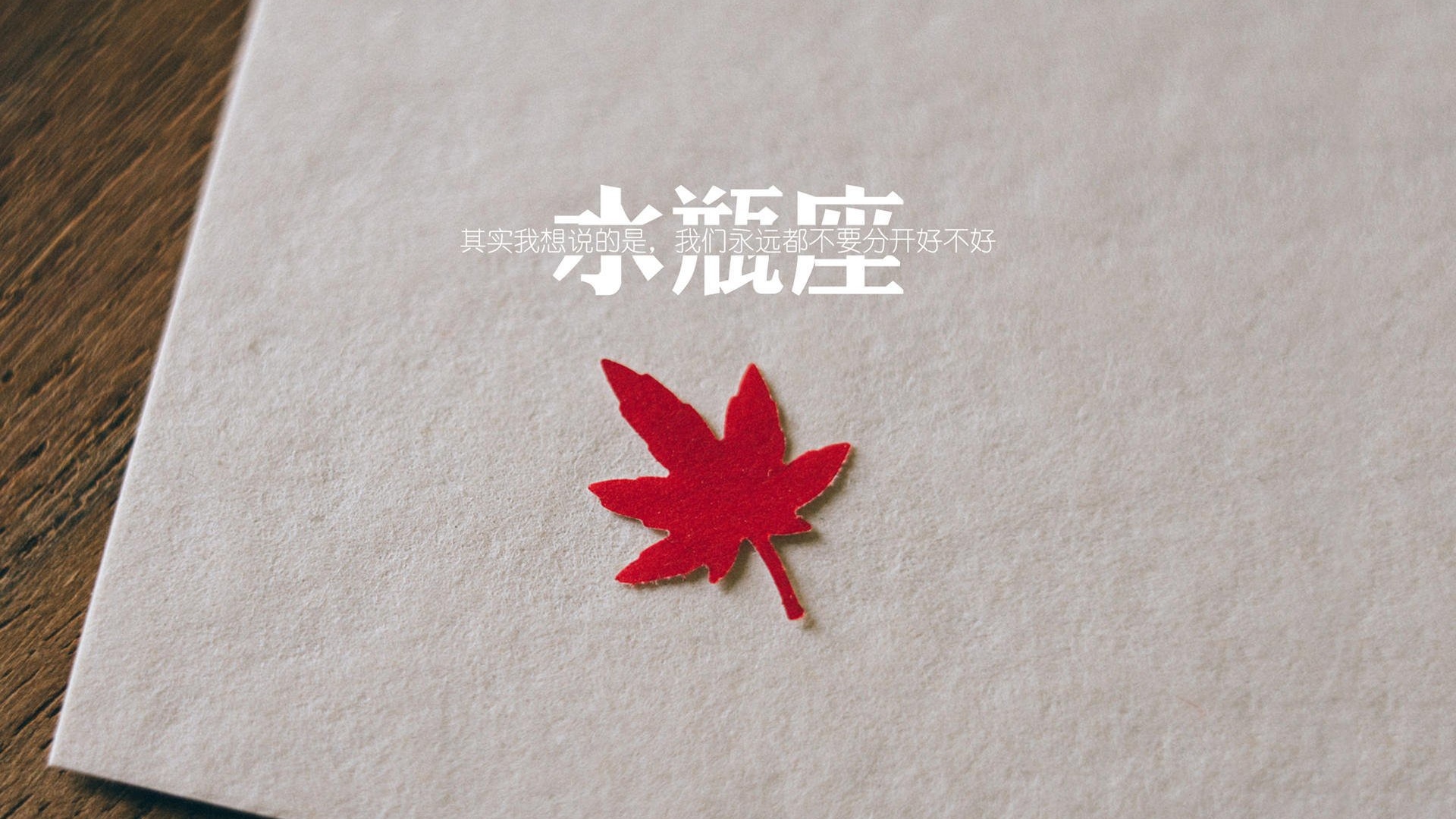 文字控 水瓶座壁纸