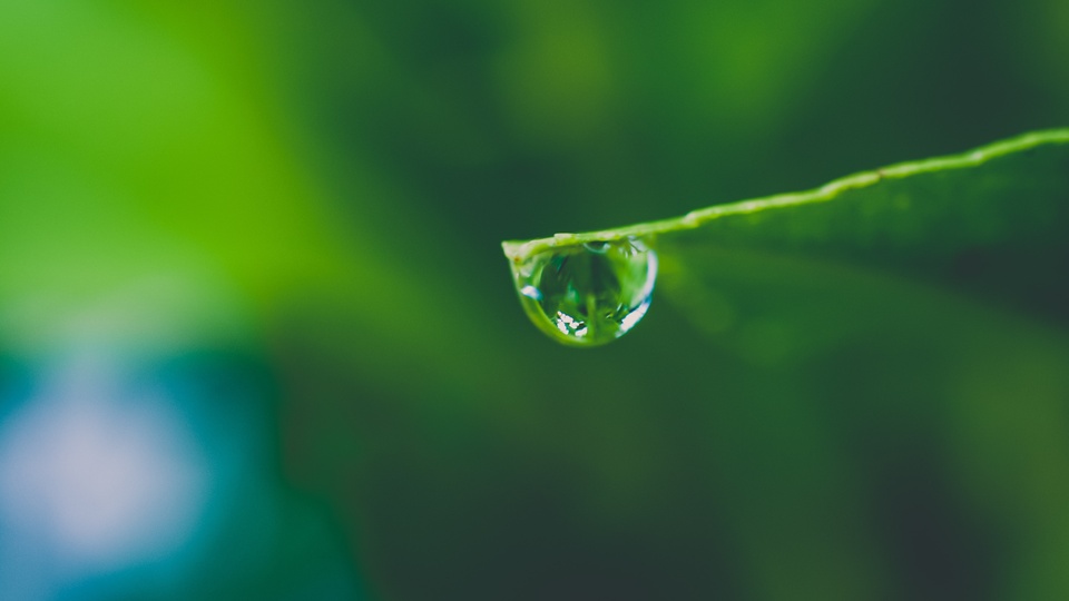 护眼壁纸【296】(小清新静态壁纸) - 静态壁纸下载 - 元气壁纸